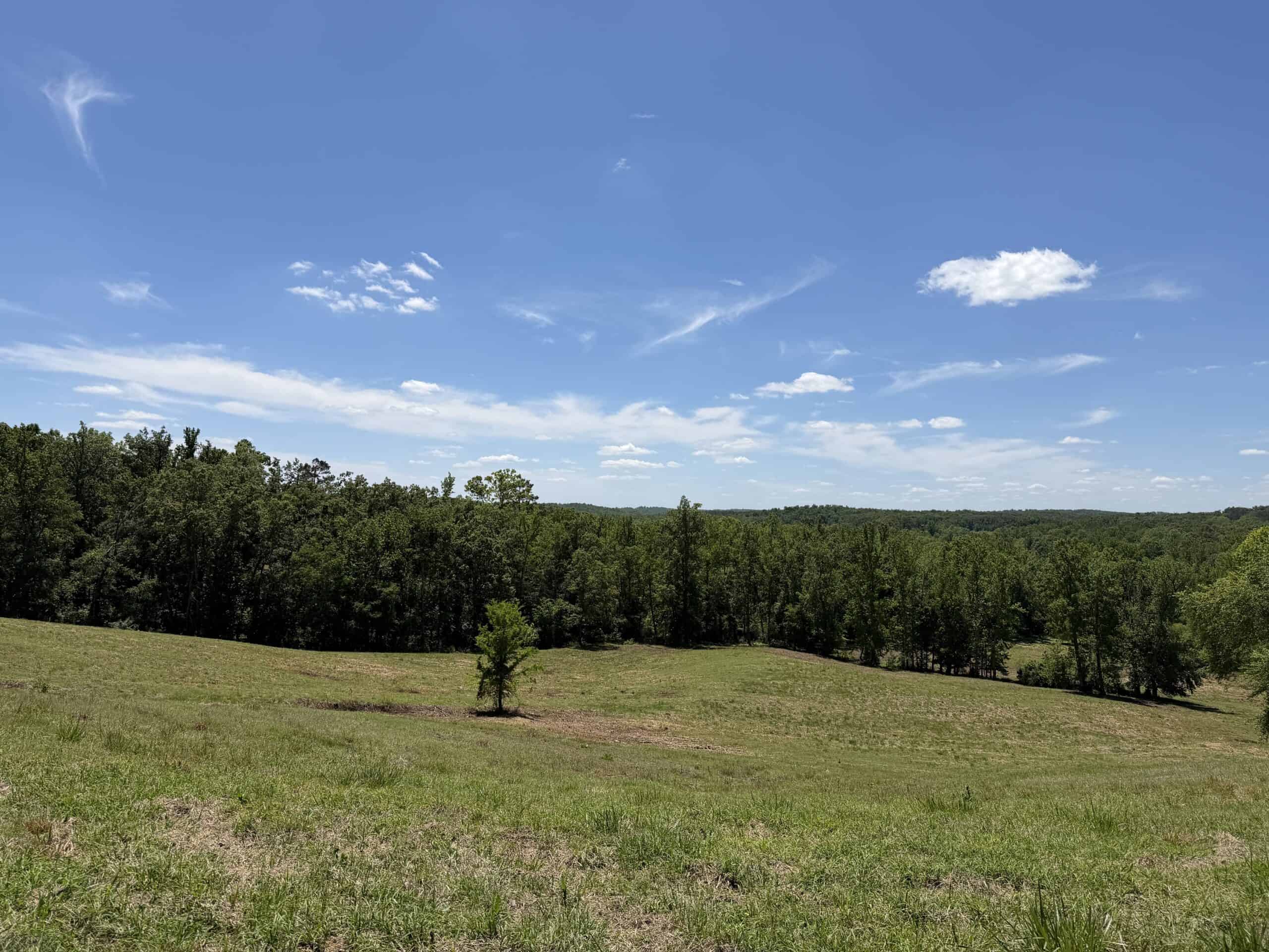 LAND FOR SALE IN TN, DEER & DUCK HUNTING, FENCED PASTURE