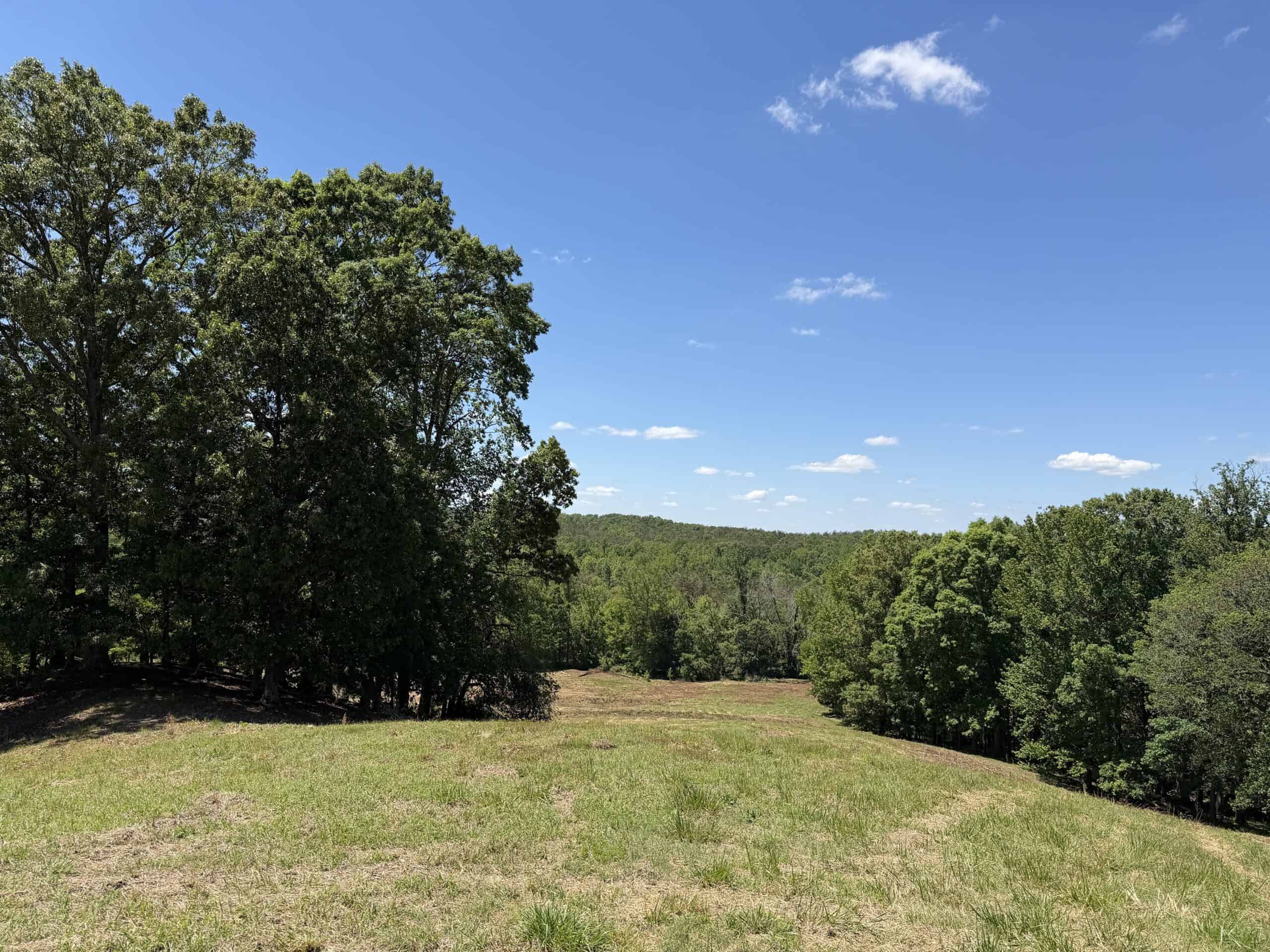 LAND FOR SALE IN TN, DEER & DUCK HUNTING, FENCED PASTURE