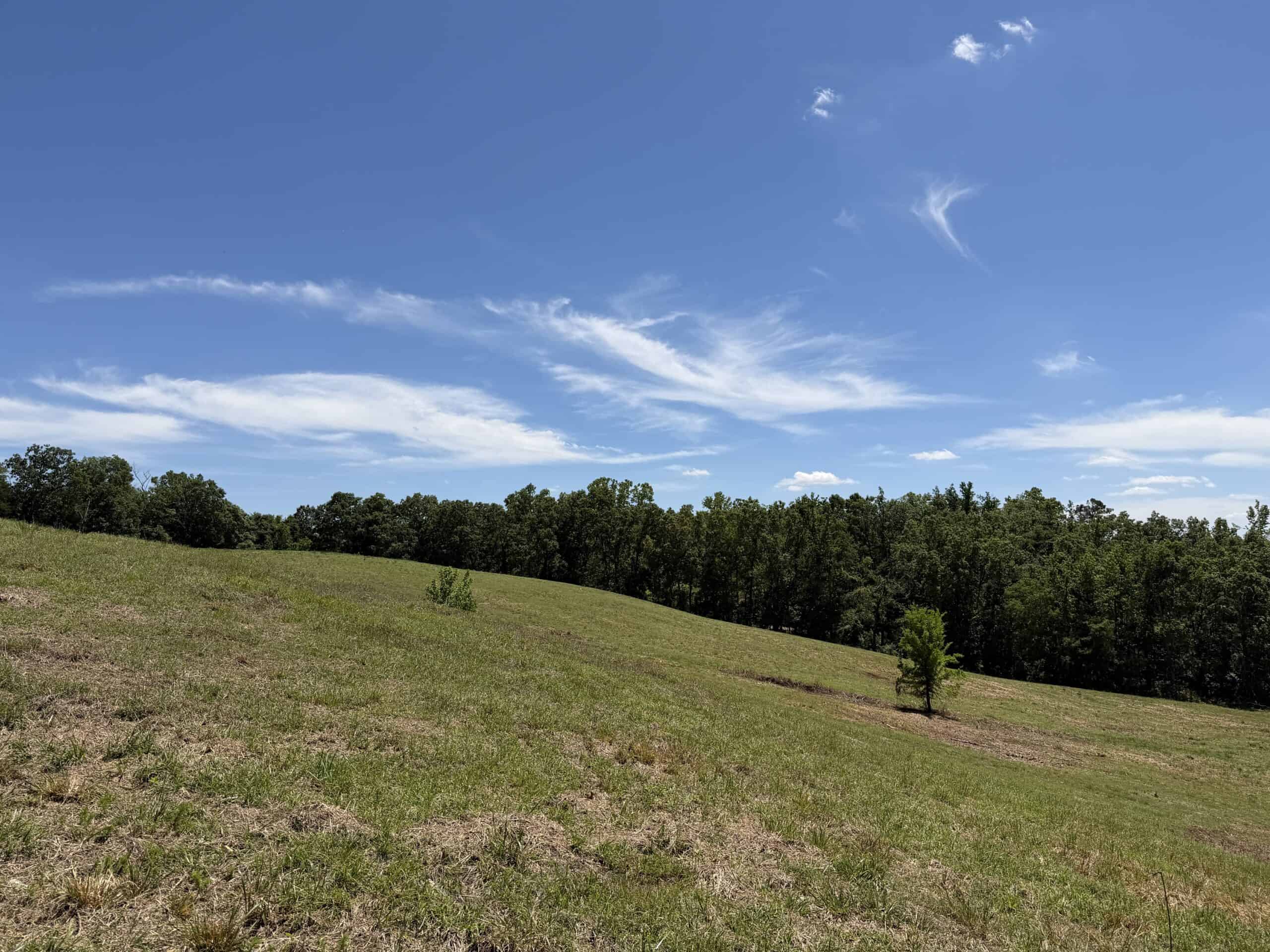 LAND FOR SALE IN TN, DEER & DUCK HUNTING, FENCED PASTURE