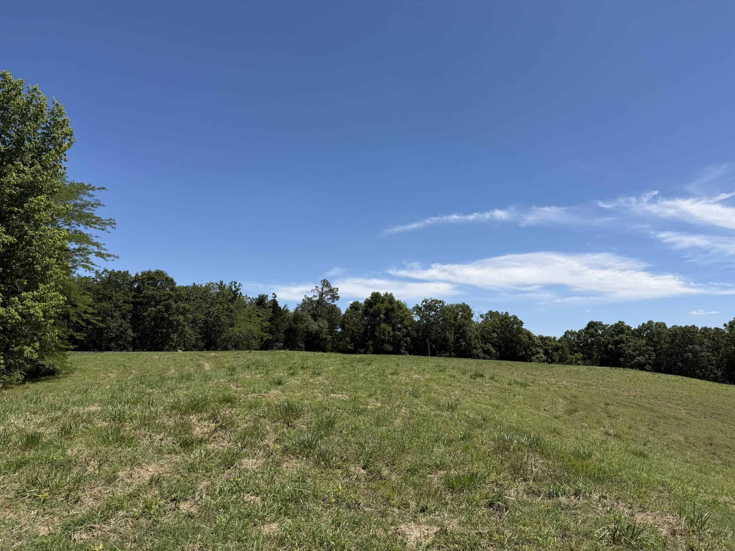LAND FOR SALE IN TN, DEER & DUCK HUNTING, FENCED PASTURE