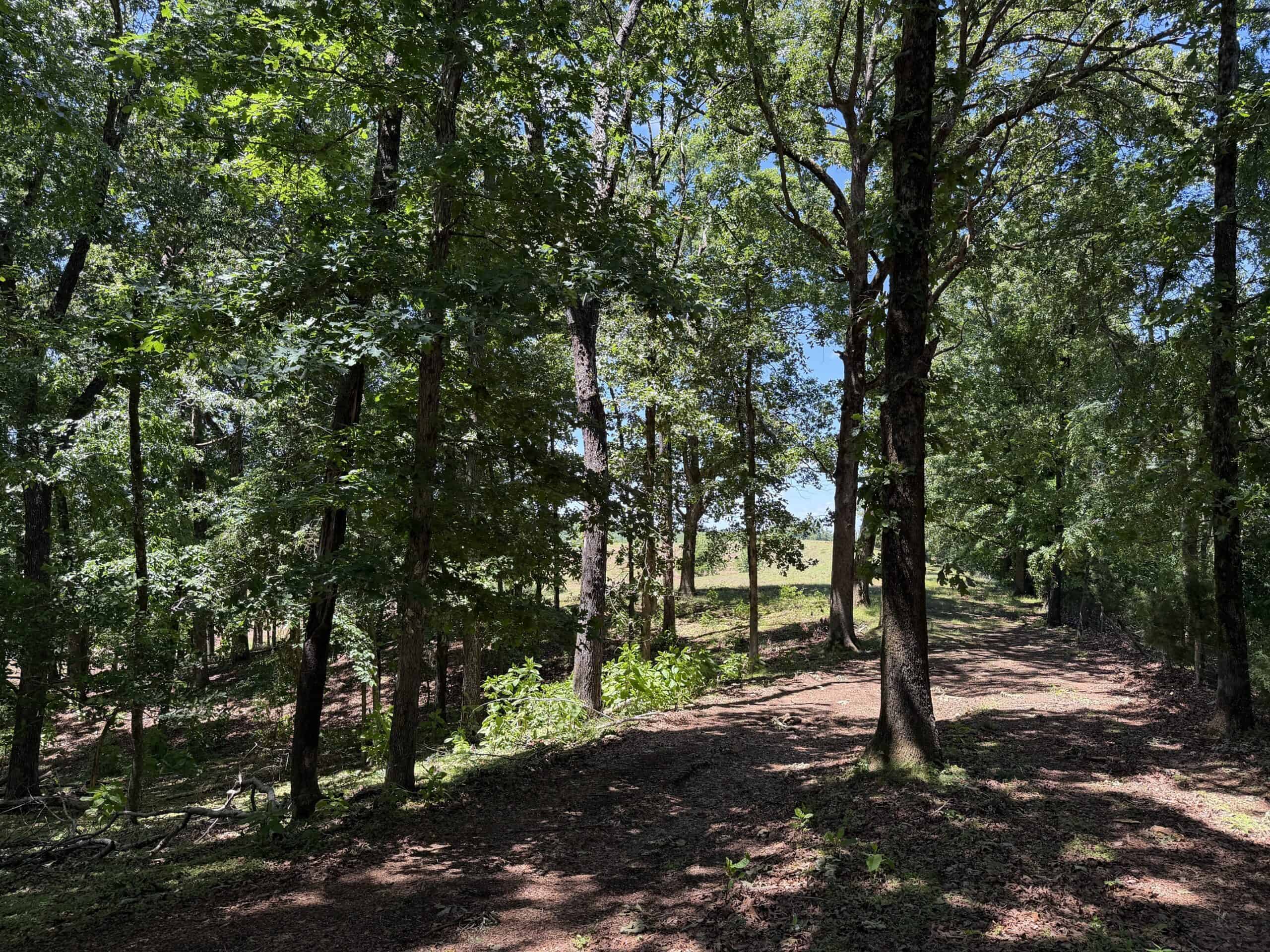LAND FOR SALE IN TN, DEER & DUCK HUNTING, FENCED PASTURE