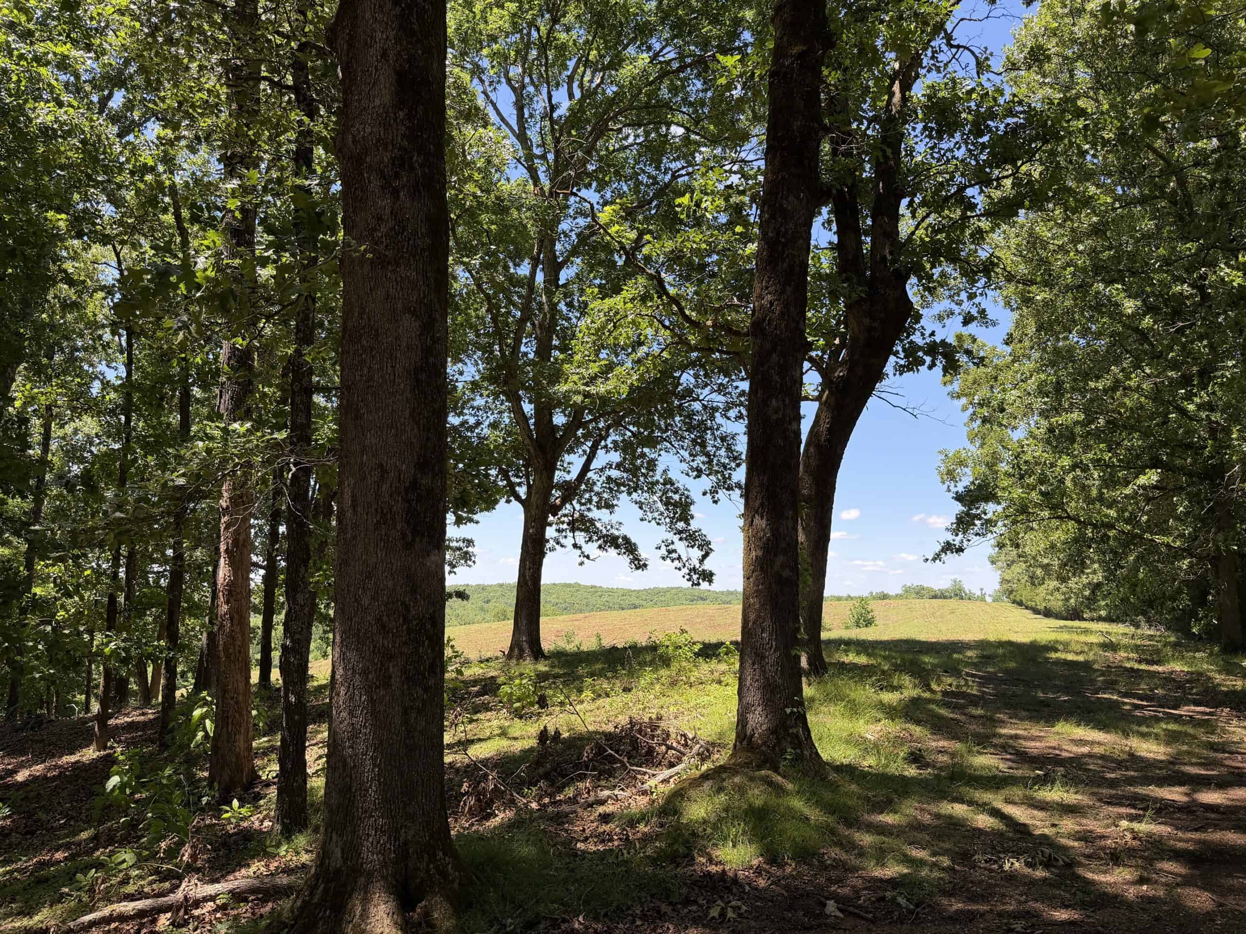 LAND FOR SALE IN TN, DEER & DUCK HUNTING, FENCED PASTURE