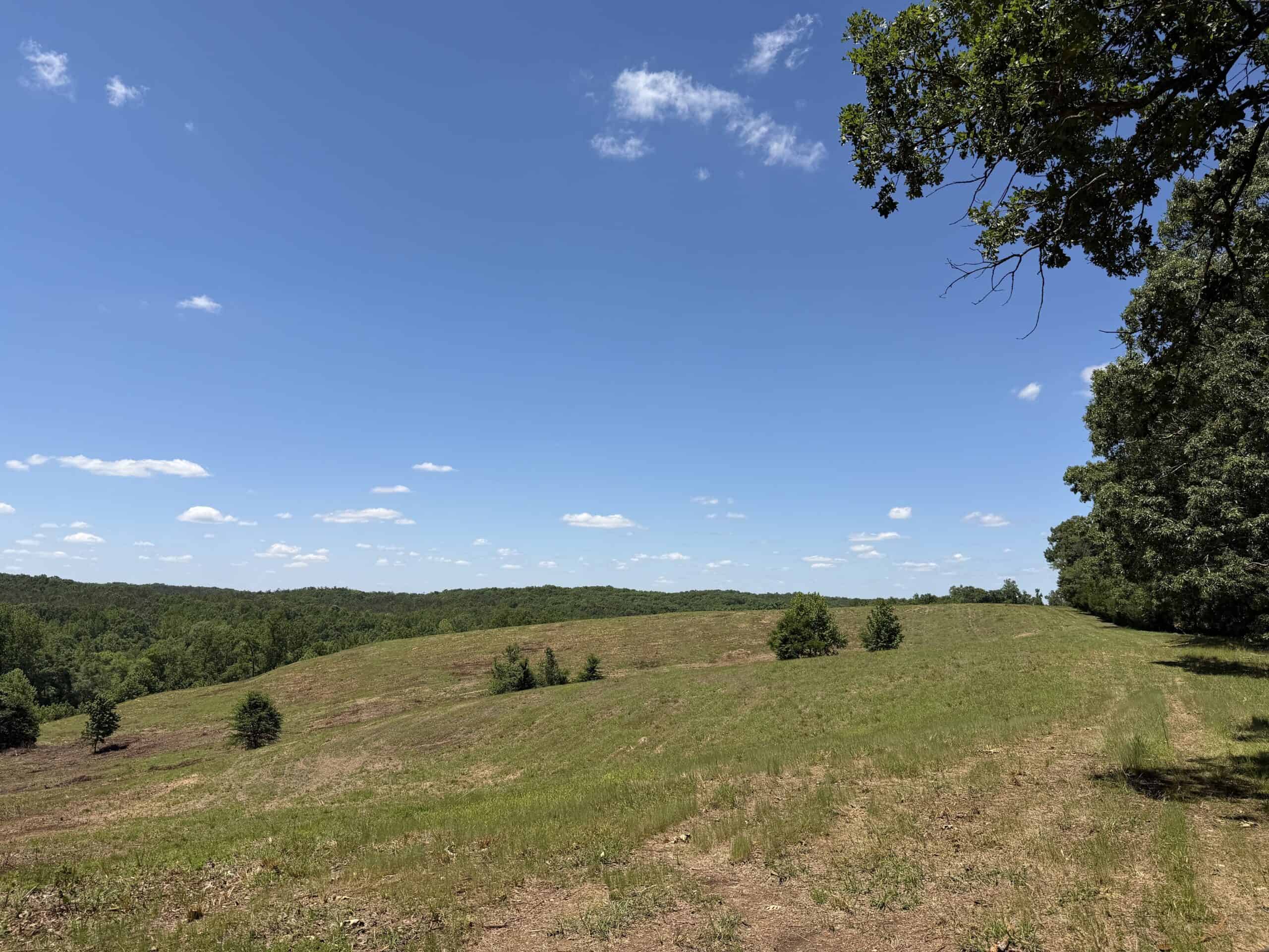 LAND FOR SALE IN TN, DEER & DUCK HUNTING, FENCED PASTURE
