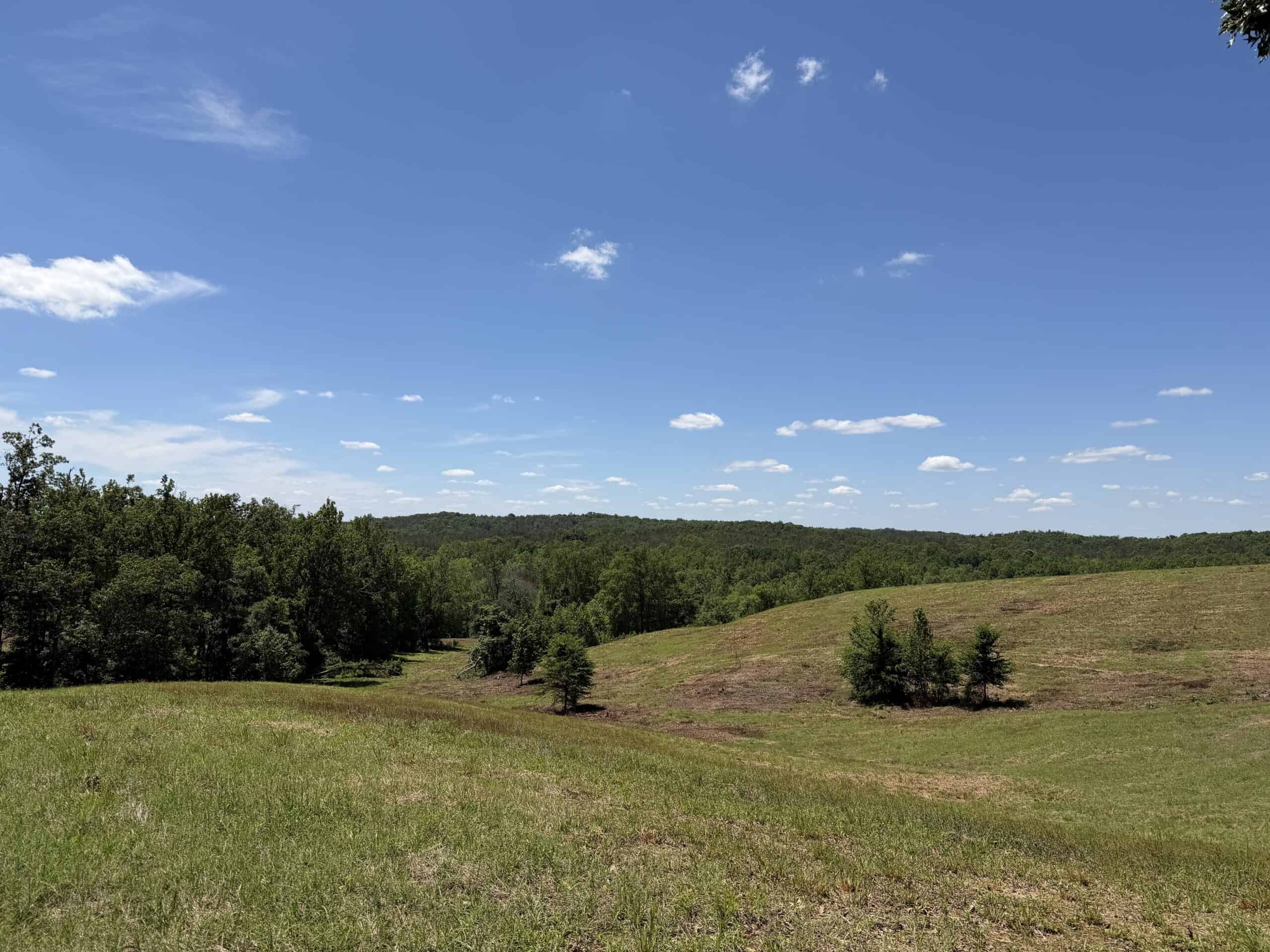 LAND FOR SALE IN TN, DEER & DUCK HUNTING, FENCED PASTURE