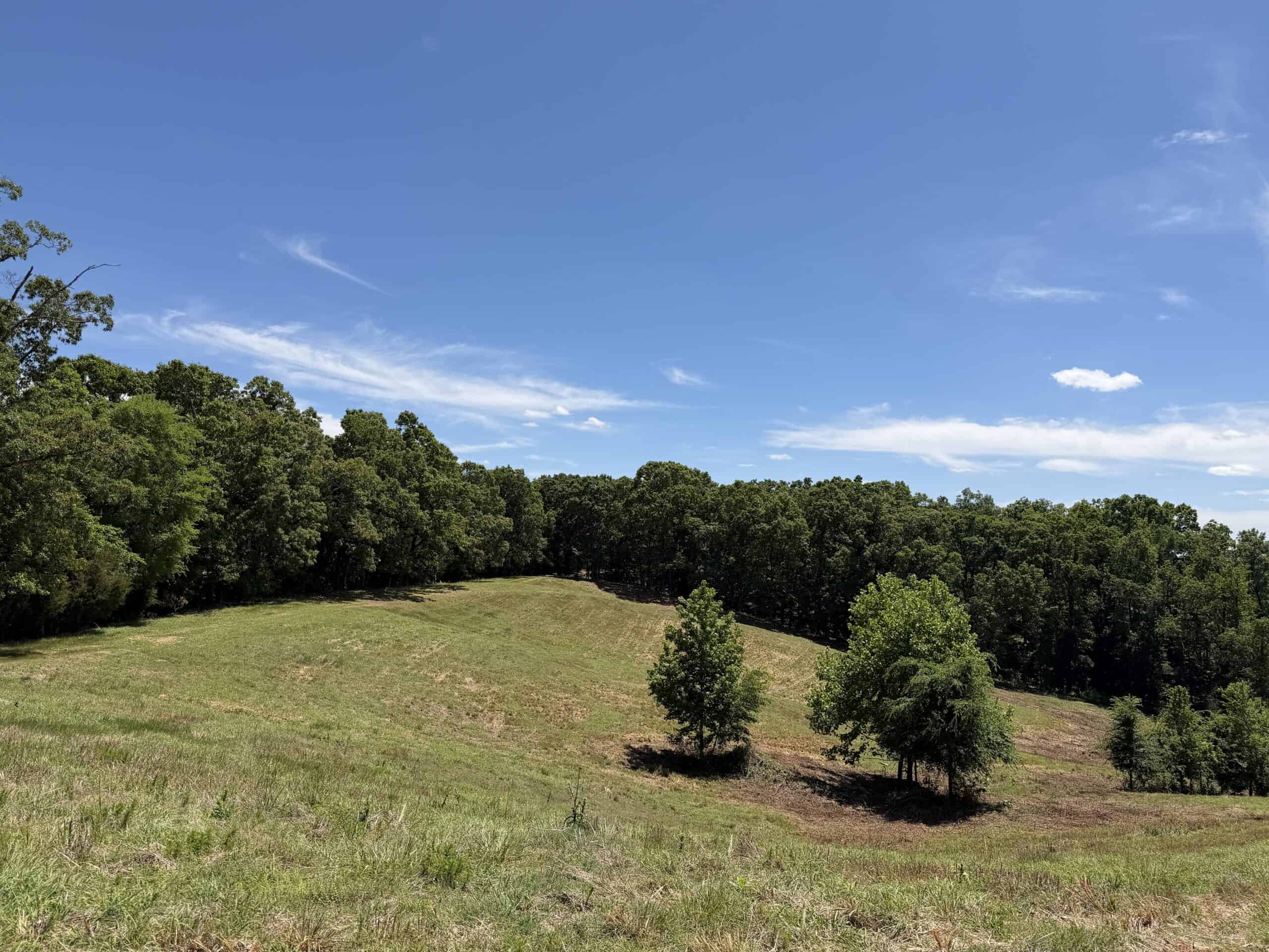 LAND FOR SALE IN TN, DEER & DUCK HUNTING, FENCED PASTURE