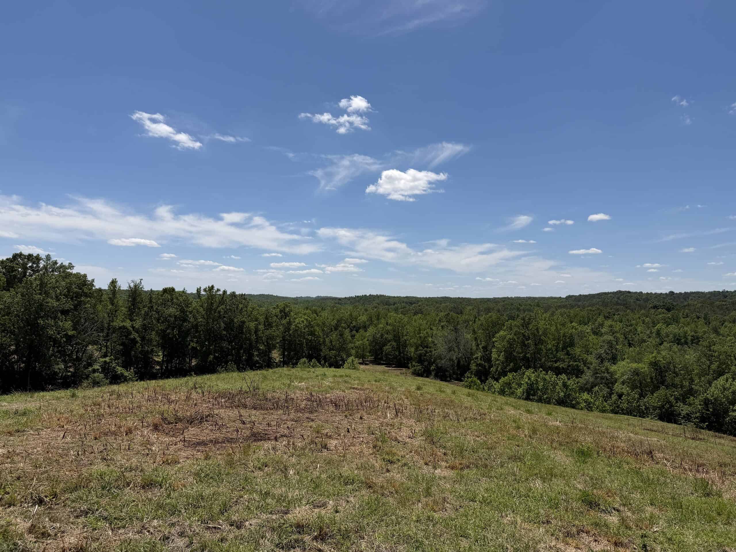 LAND FOR SALE IN TN, DEER & DUCK HUNTING, FENCED PASTURE