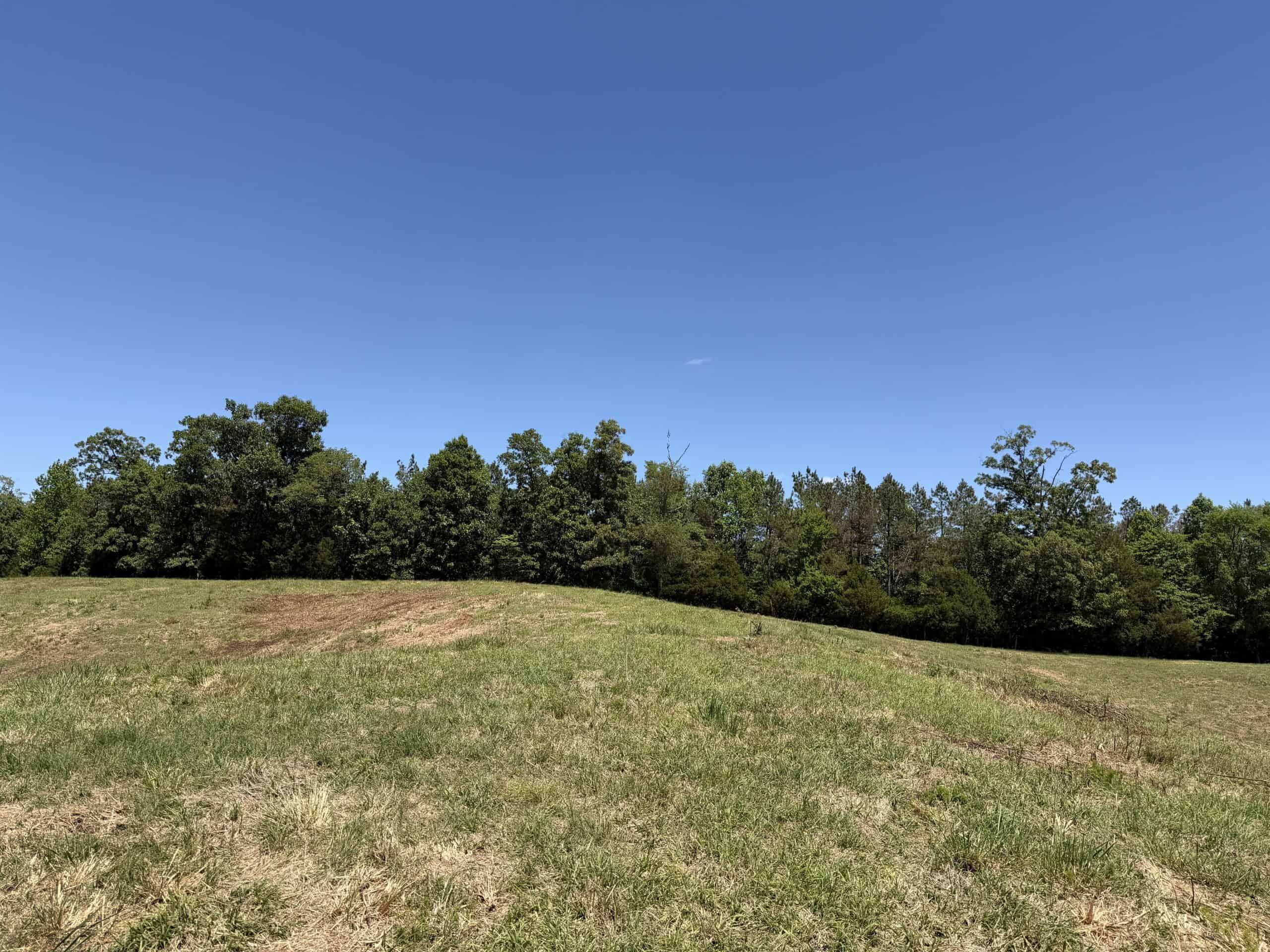 LAND FOR SALE IN TN, DEER & DUCK HUNTING, FENCED PASTURE