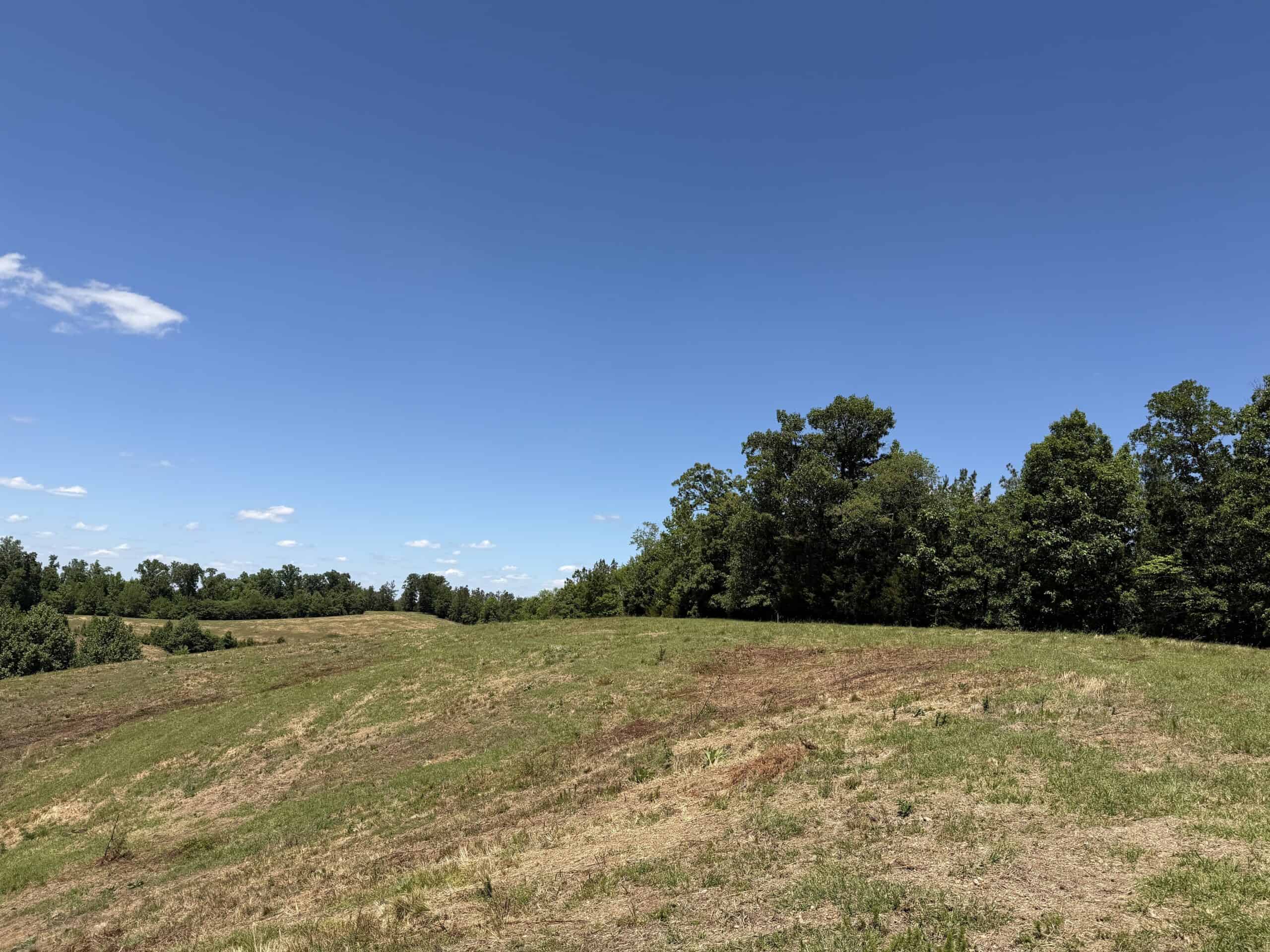 LAND FOR SALE IN TN, DEER & DUCK HUNTING, FENCED PASTURE