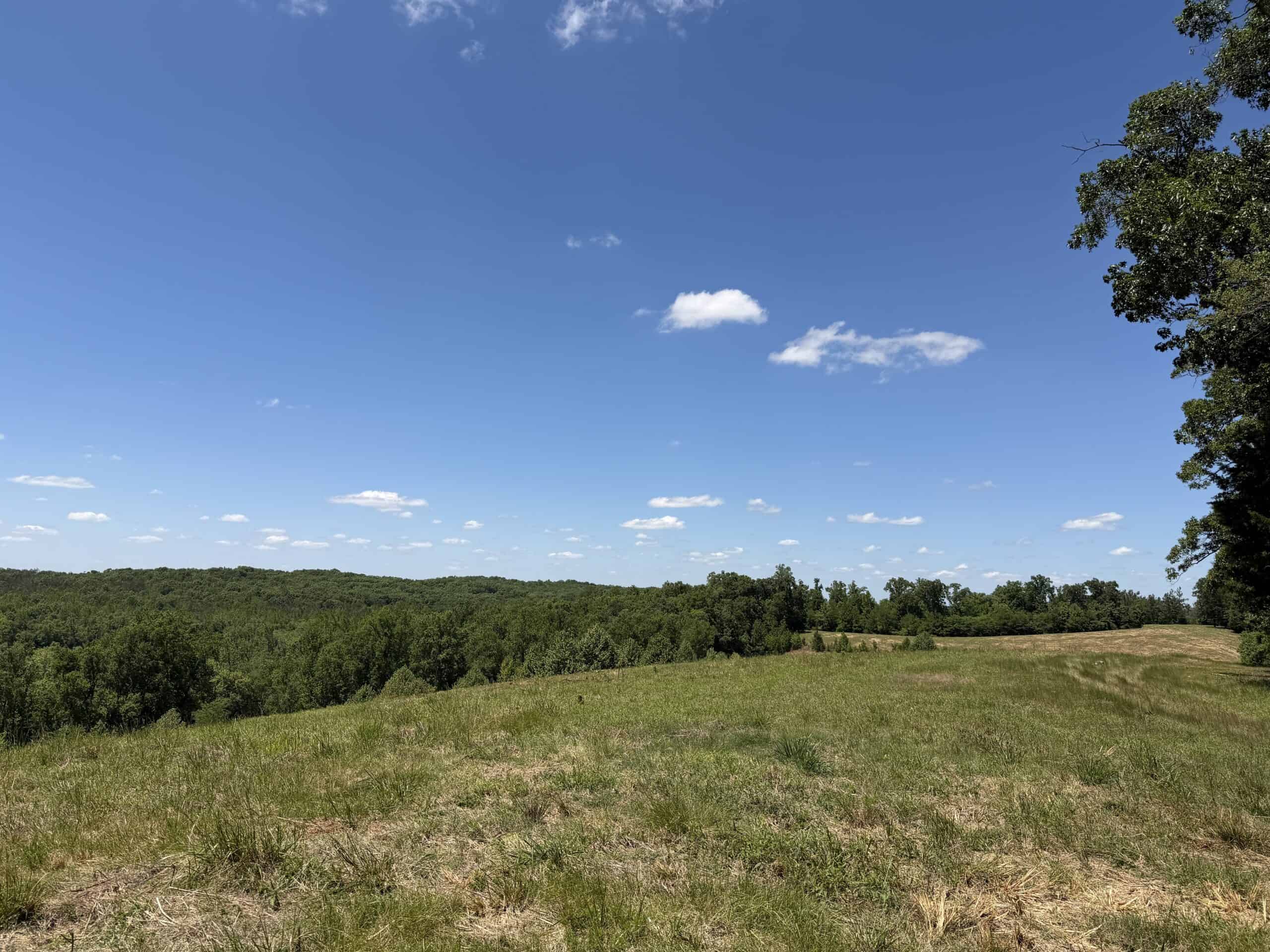 LAND FOR SALE IN TN, DEER & DUCK HUNTING, FENCED PASTURE