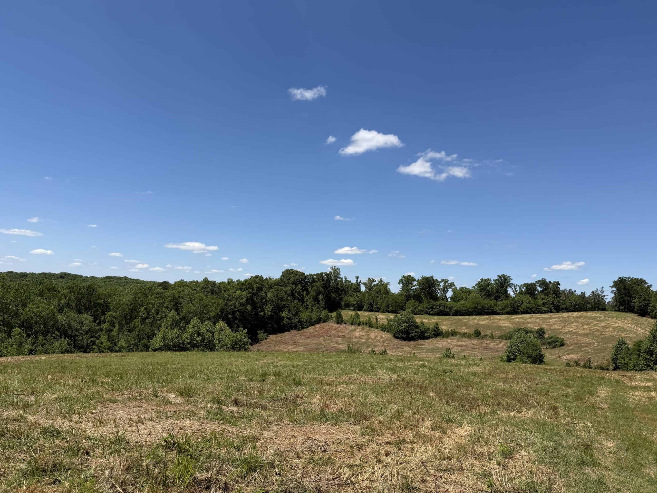 LAND FOR SALE IN TN, DEER & DUCK HUNTING, FENCED PASTURE