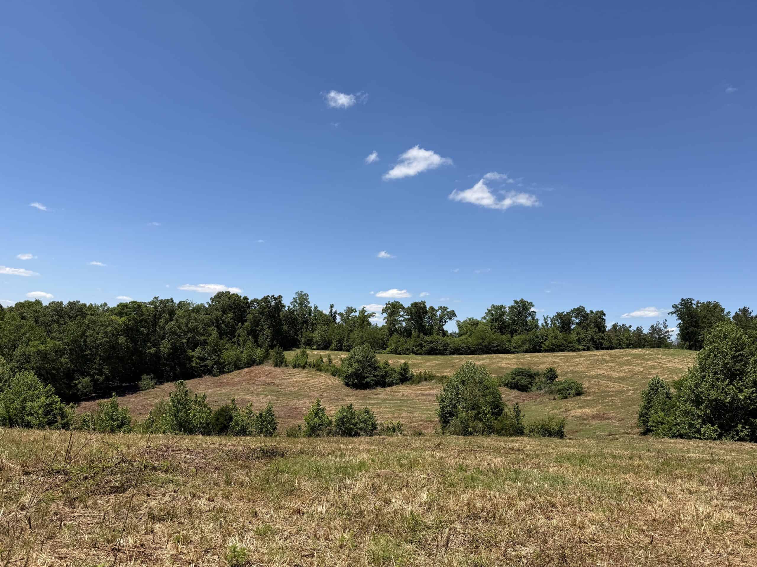 LAND FOR SALE IN TN, DEER & DUCK HUNTING, FENCED PASTURE