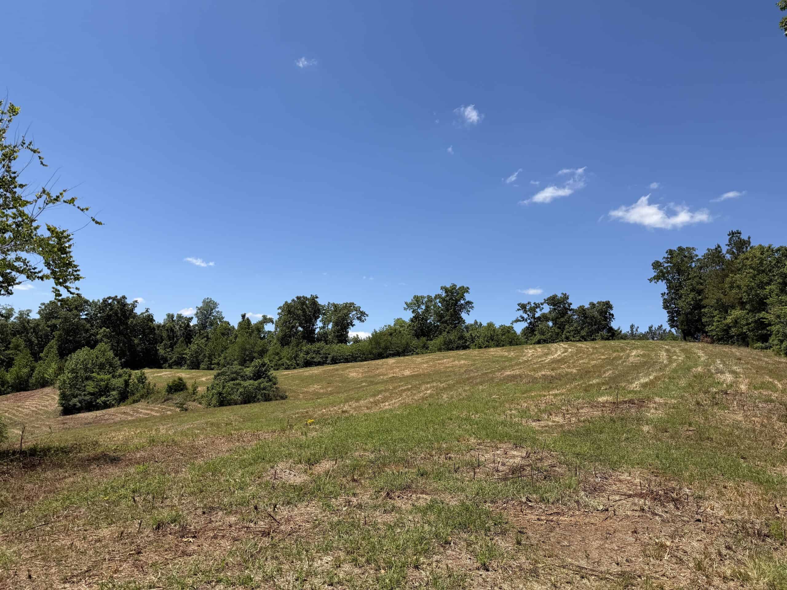 LAND FOR SALE IN TN, DEER & DUCK HUNTING, FENCED PASTURE
