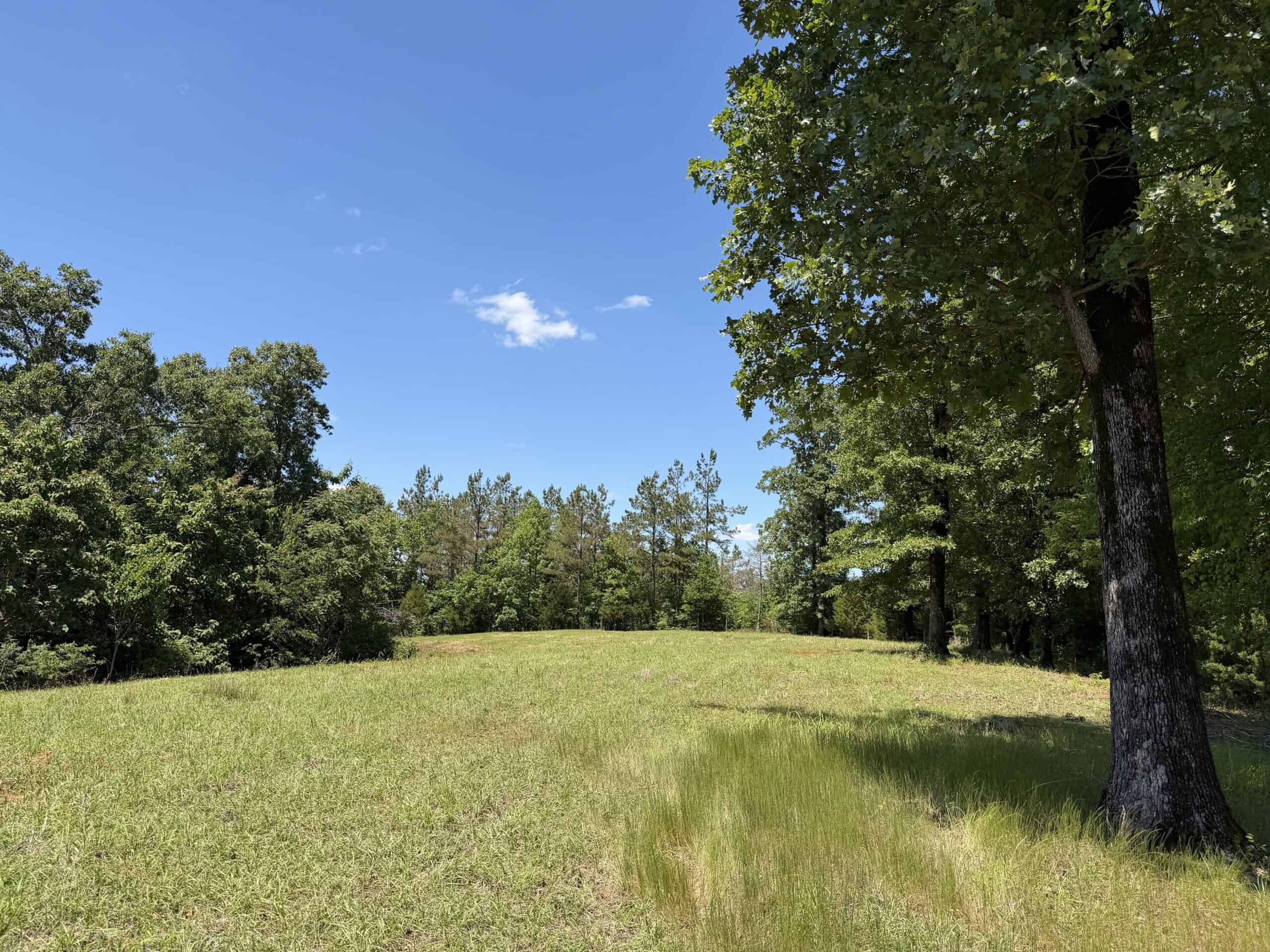 LAND FOR SALE IN TN, DEER & DUCK HUNTING, FENCED PASTURE