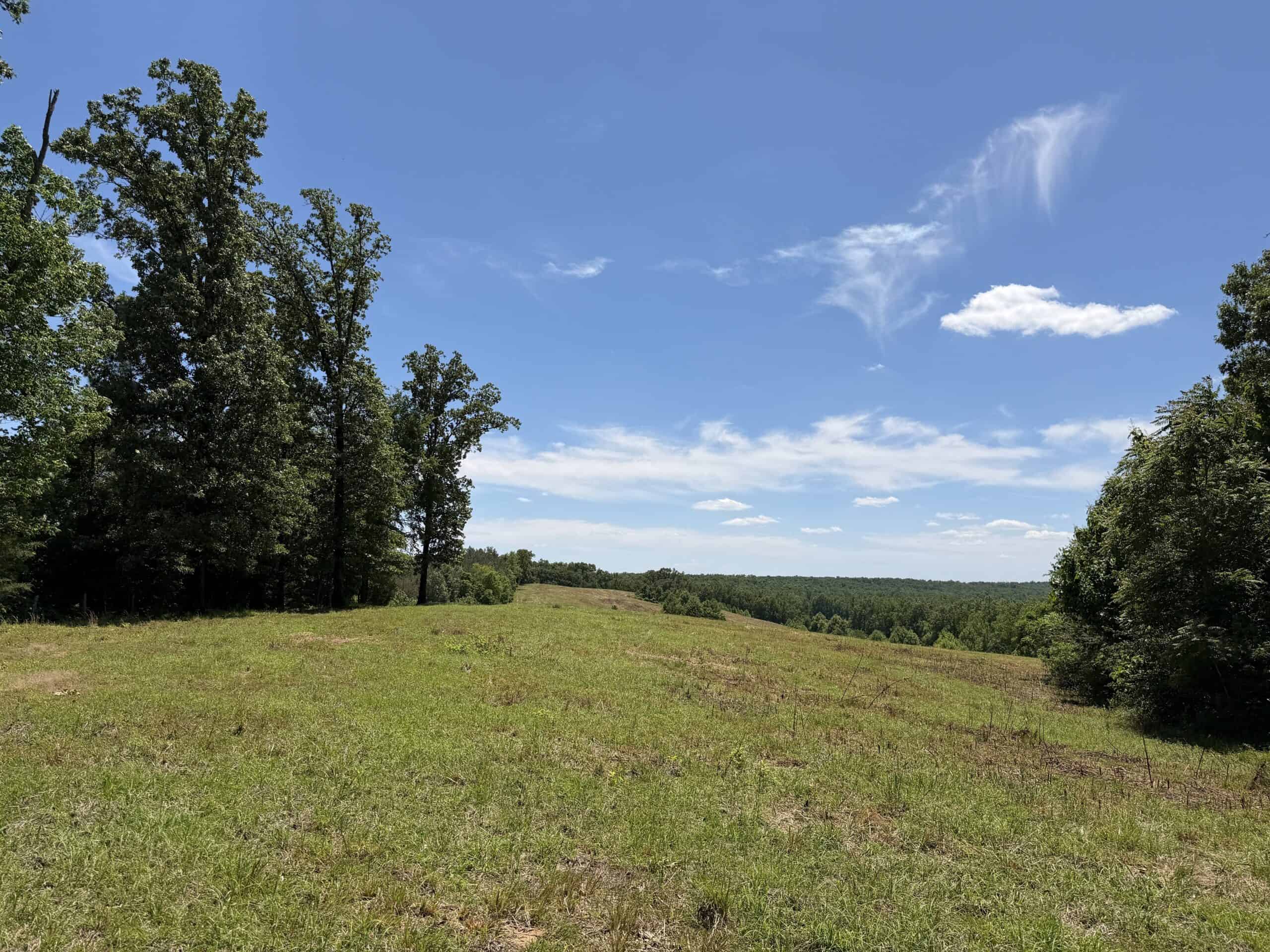 LAND FOR SALE IN TN, DEER & DUCK HUNTING, FENCED PASTURE