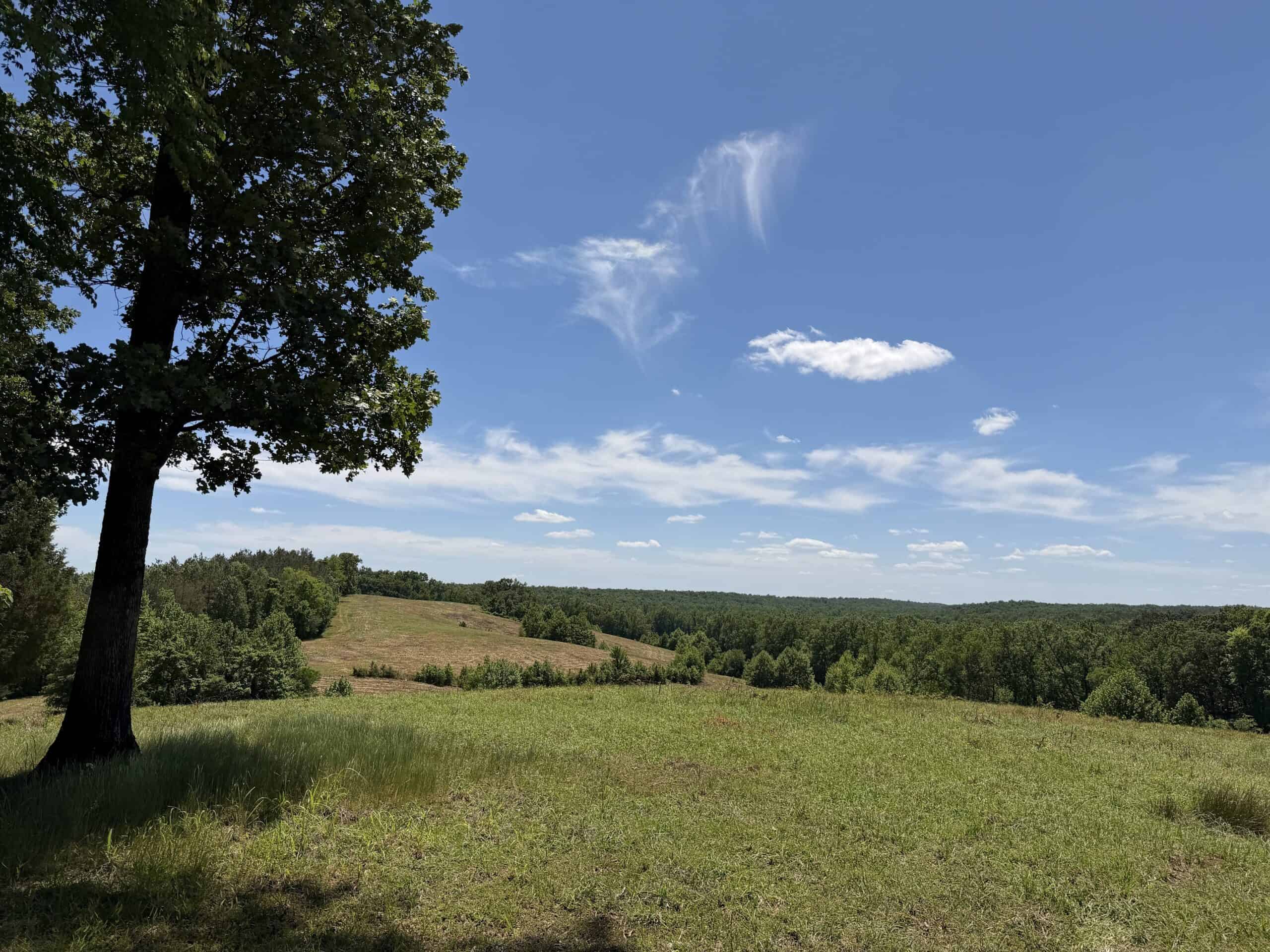 LAND FOR SALE IN TN, DEER & DUCK HUNTING, FENCED PASTURE