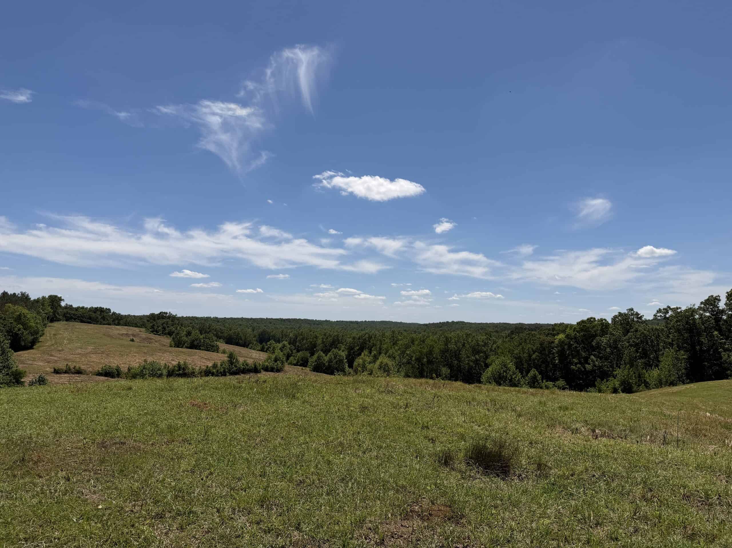 LAND FOR SALE IN TN, DEER & DUCK HUNTING, FENCED PASTURE