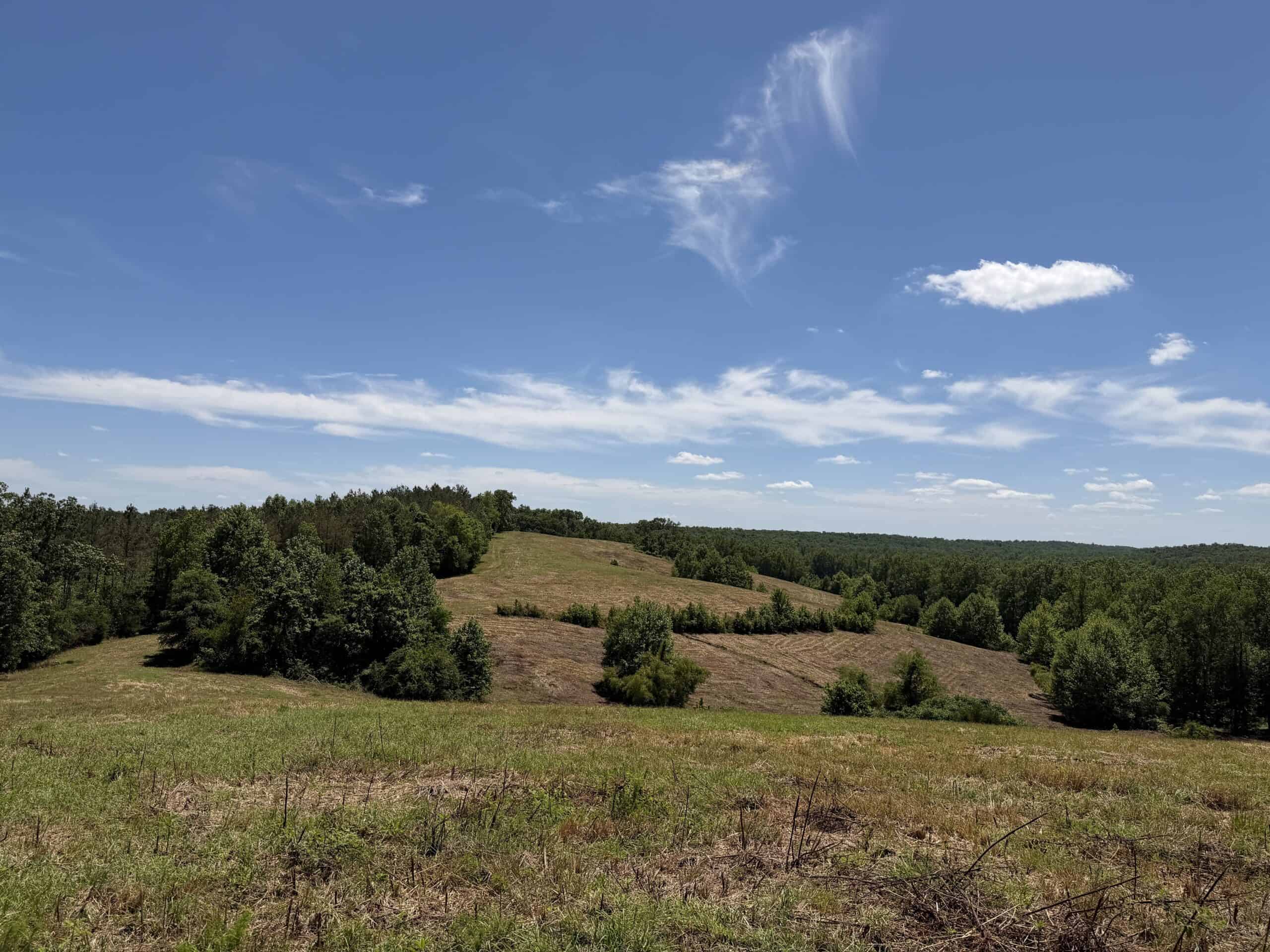 LAND FOR SALE IN TN, DEER & DUCK HUNTING, FENCED PASTURE
