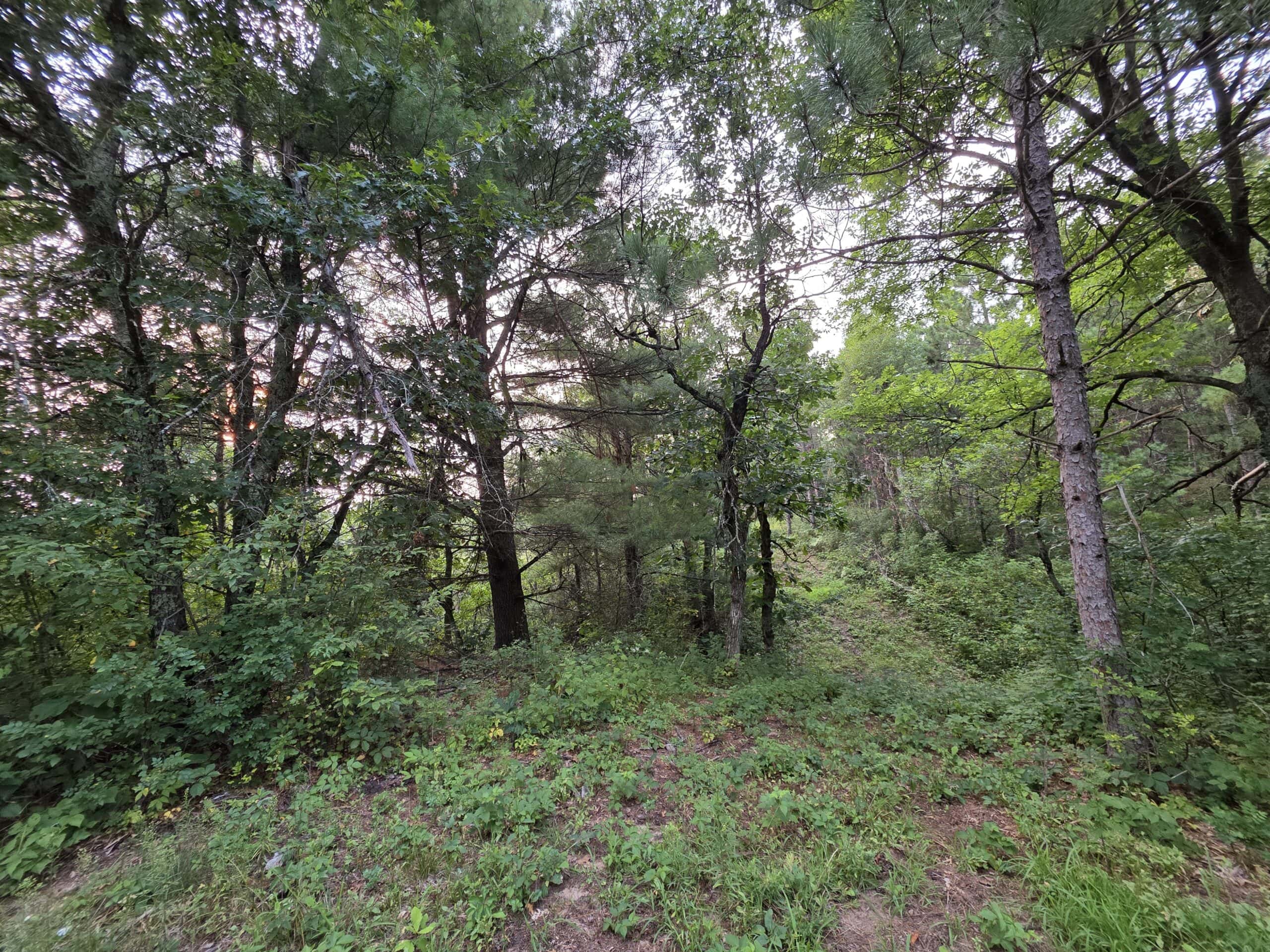 160± acre Monroe County property Located off dead end road,
