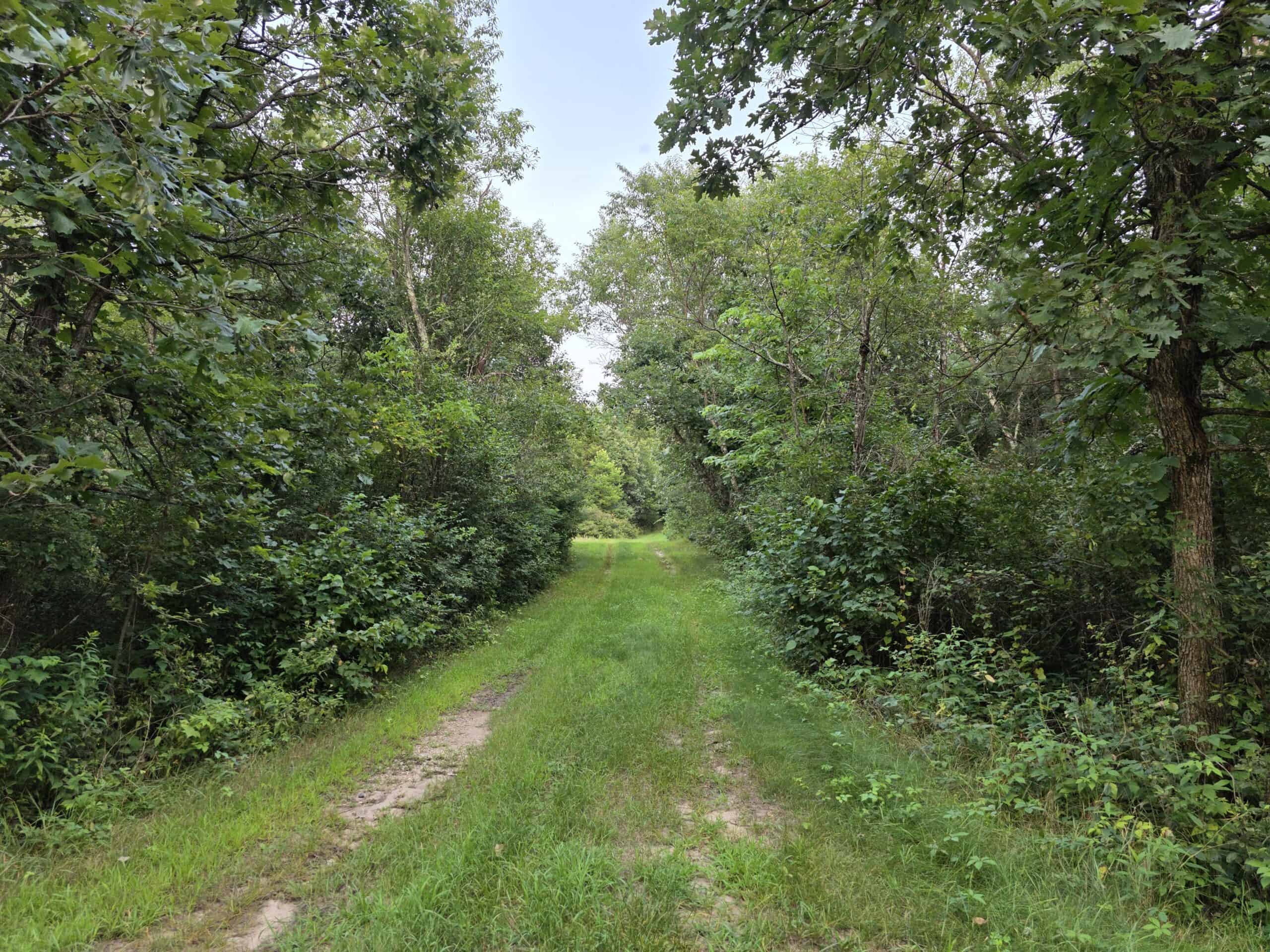 160± acre Monroe County property Located off dead end road,