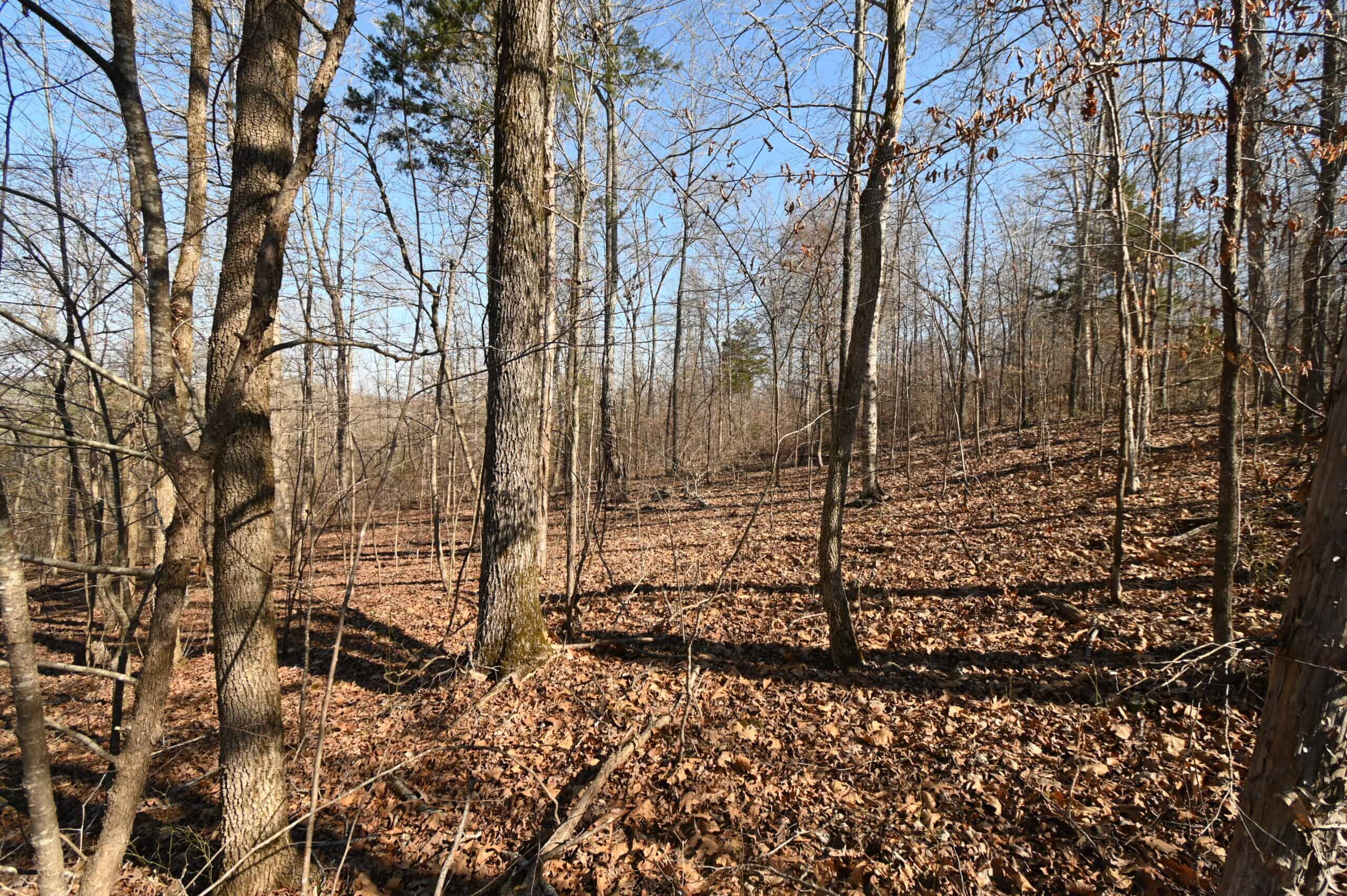 107.63 Acres For Sale in Middle Tennessee!