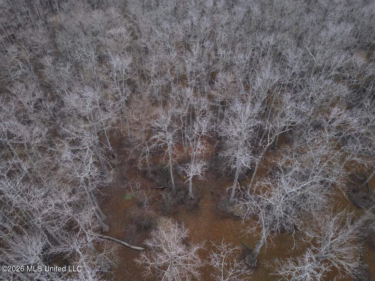 431± Acres with Calcasieu River Frontage in Calcasieu Parish