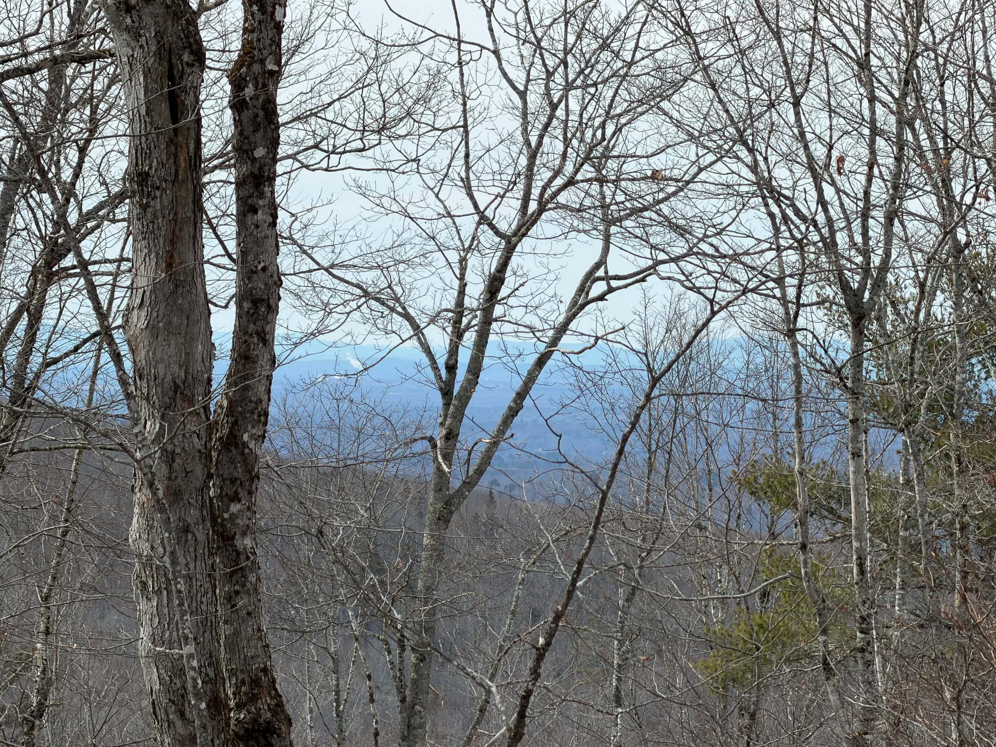 Expansive Mountain-View Acreage with Timber Value & Road Frontage