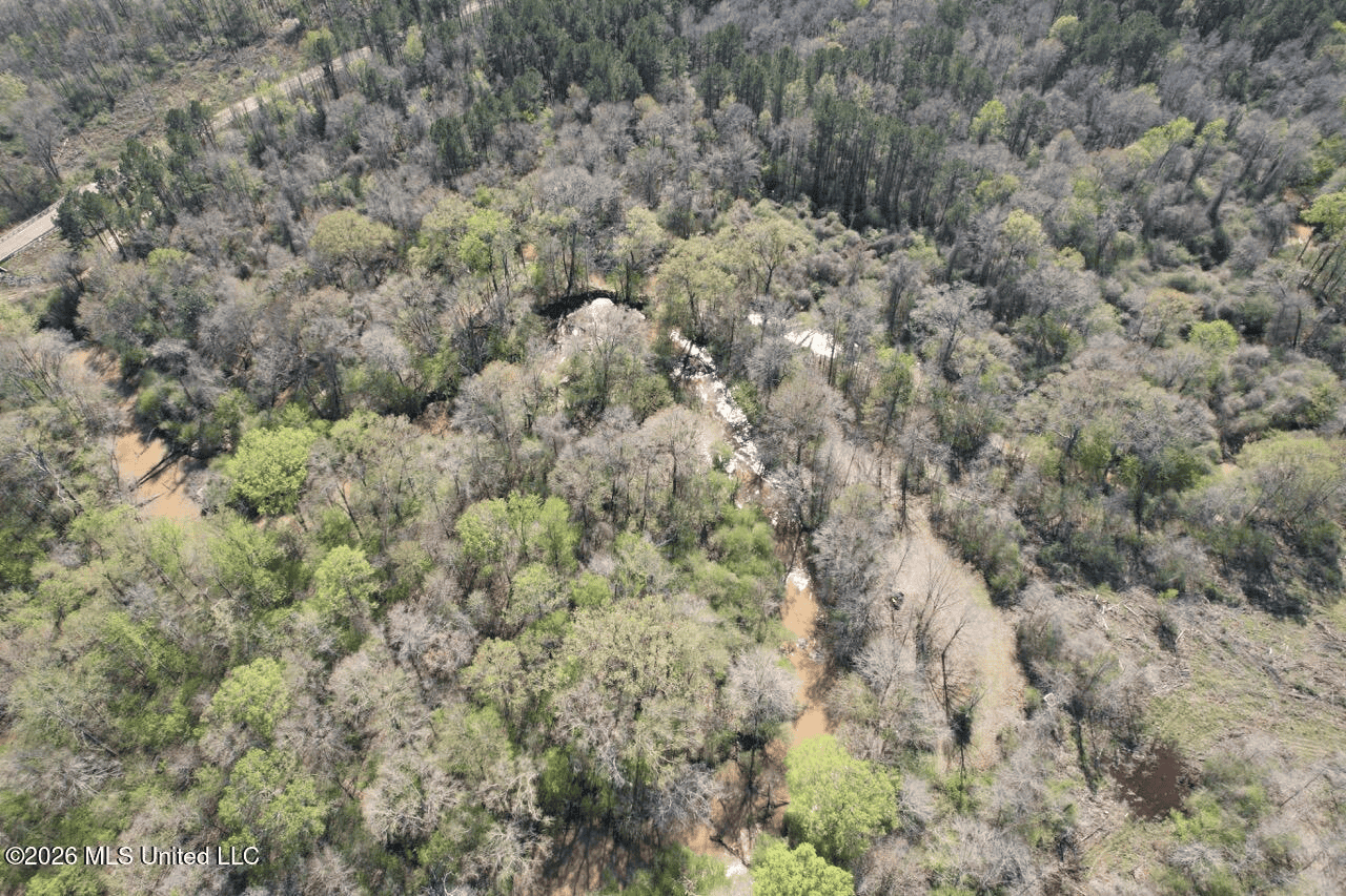 123± Acres Centreville MS on Chance Rd Amite County