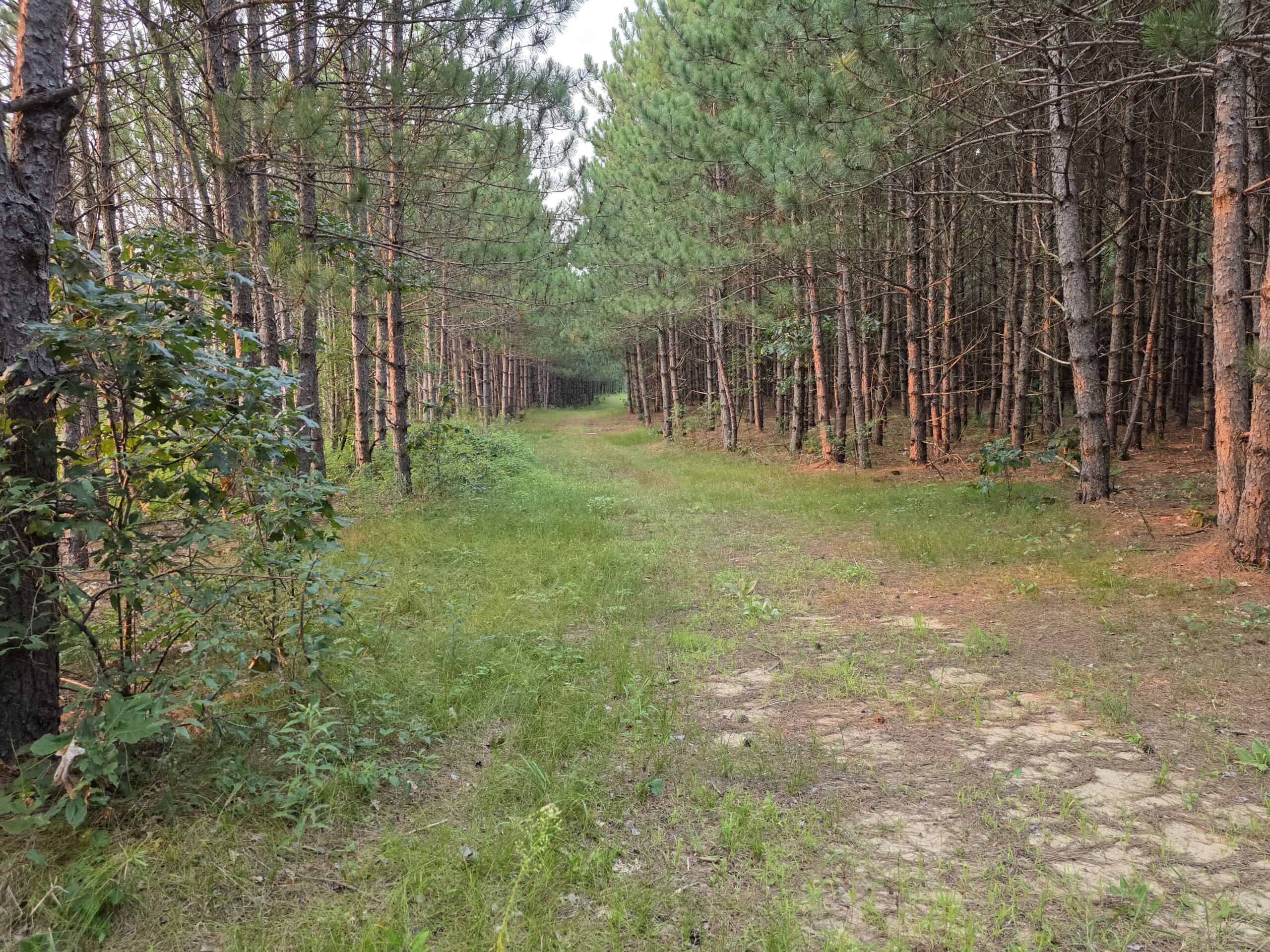 160± acre Monroe County property Located off dead end road,