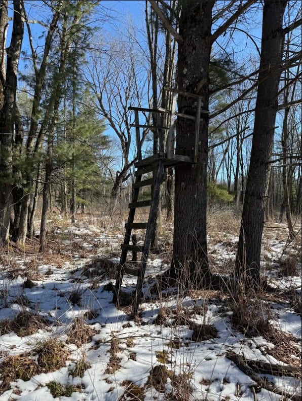 40-Acre Recreational Hunting Tract in Central Monroe County