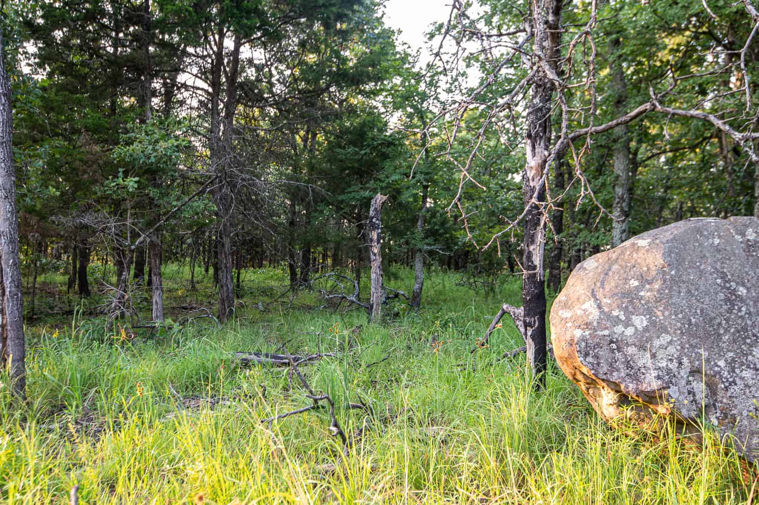 Catcher Ranch: 785 ± Acre Conservation Ranch & Trophy Whitetail Hunting Property Near Stuart, Oklahoma
