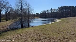 Amite County MS Turnkey 45 Acres