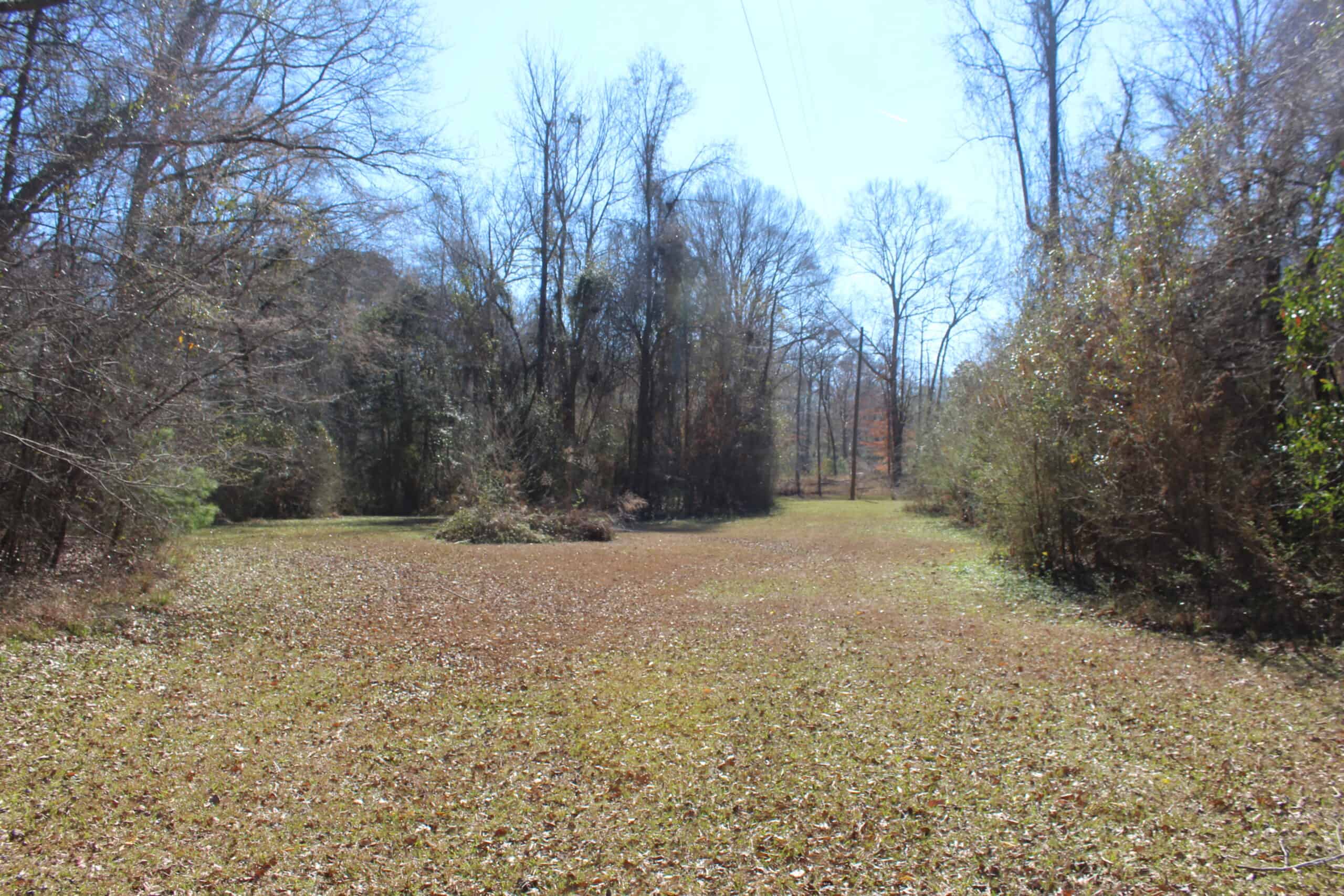 6.57 Acres with Water Frontage on the Bogue Chitto River Pike County, Mississippi