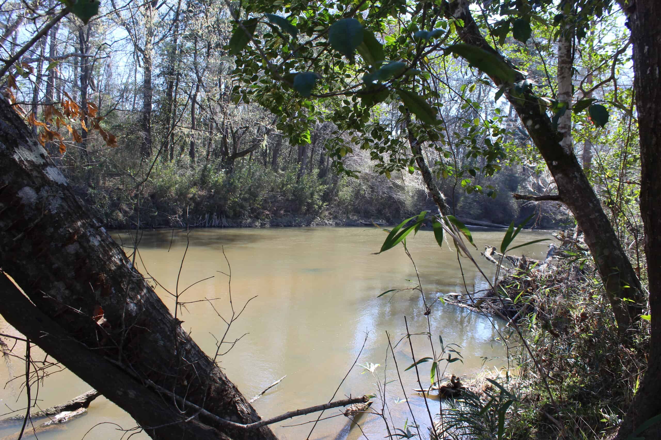 6.57 Acres with Water Frontage on the Bogue Chitto River Pike County, Mississippi