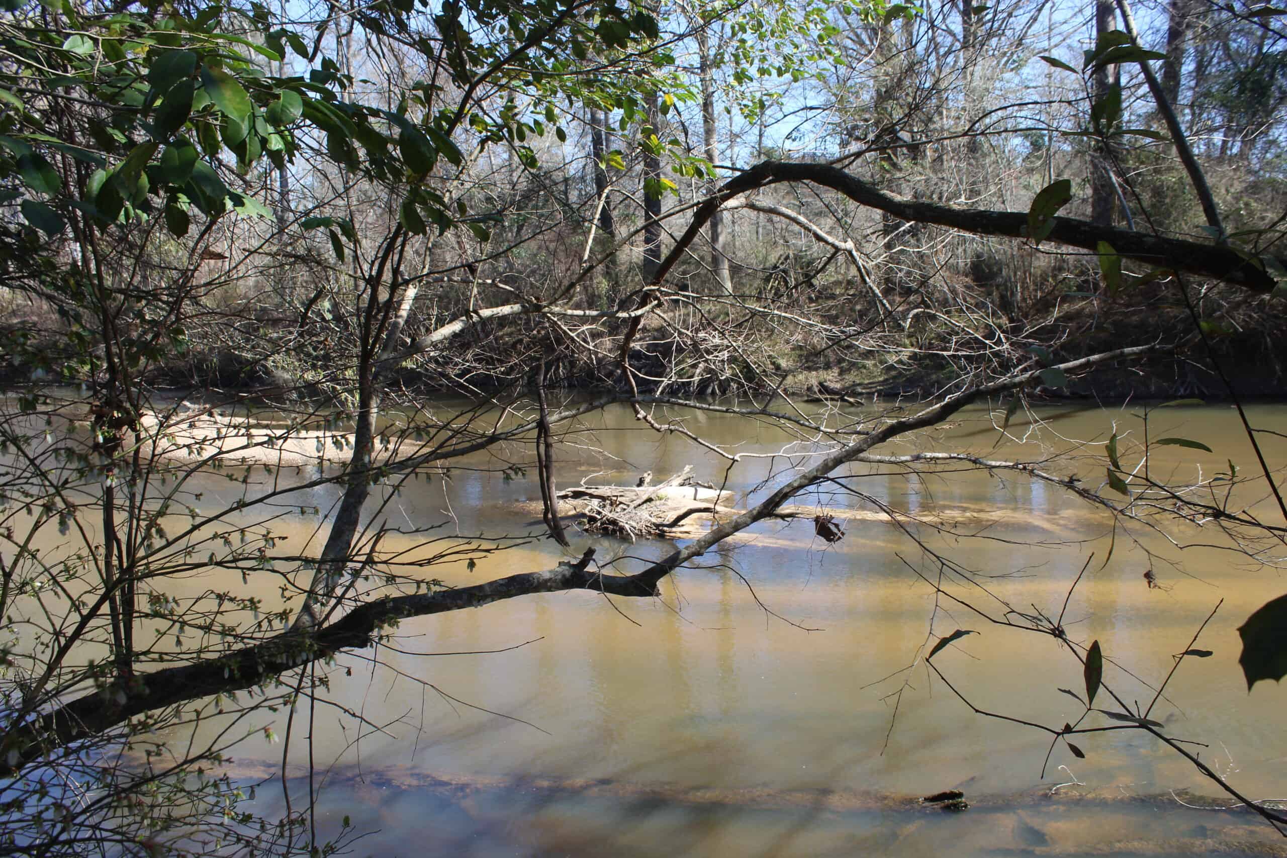 6.57 Acres with Water Frontage on the Bogue Chitto River Pike County, Mississippi