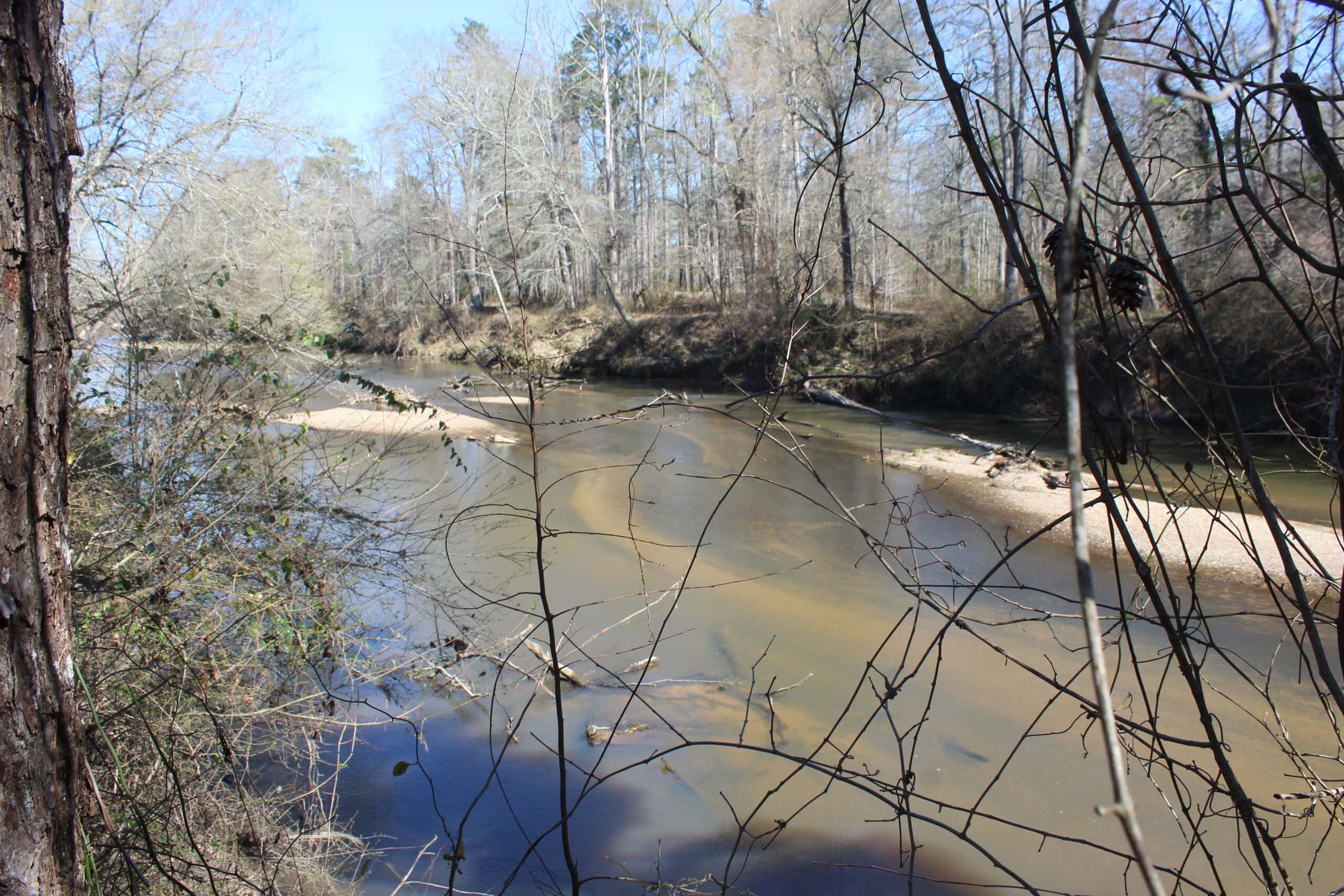 6.57 Acres with Water Frontage on the Bogue Chitto River Pike County, Mississippi