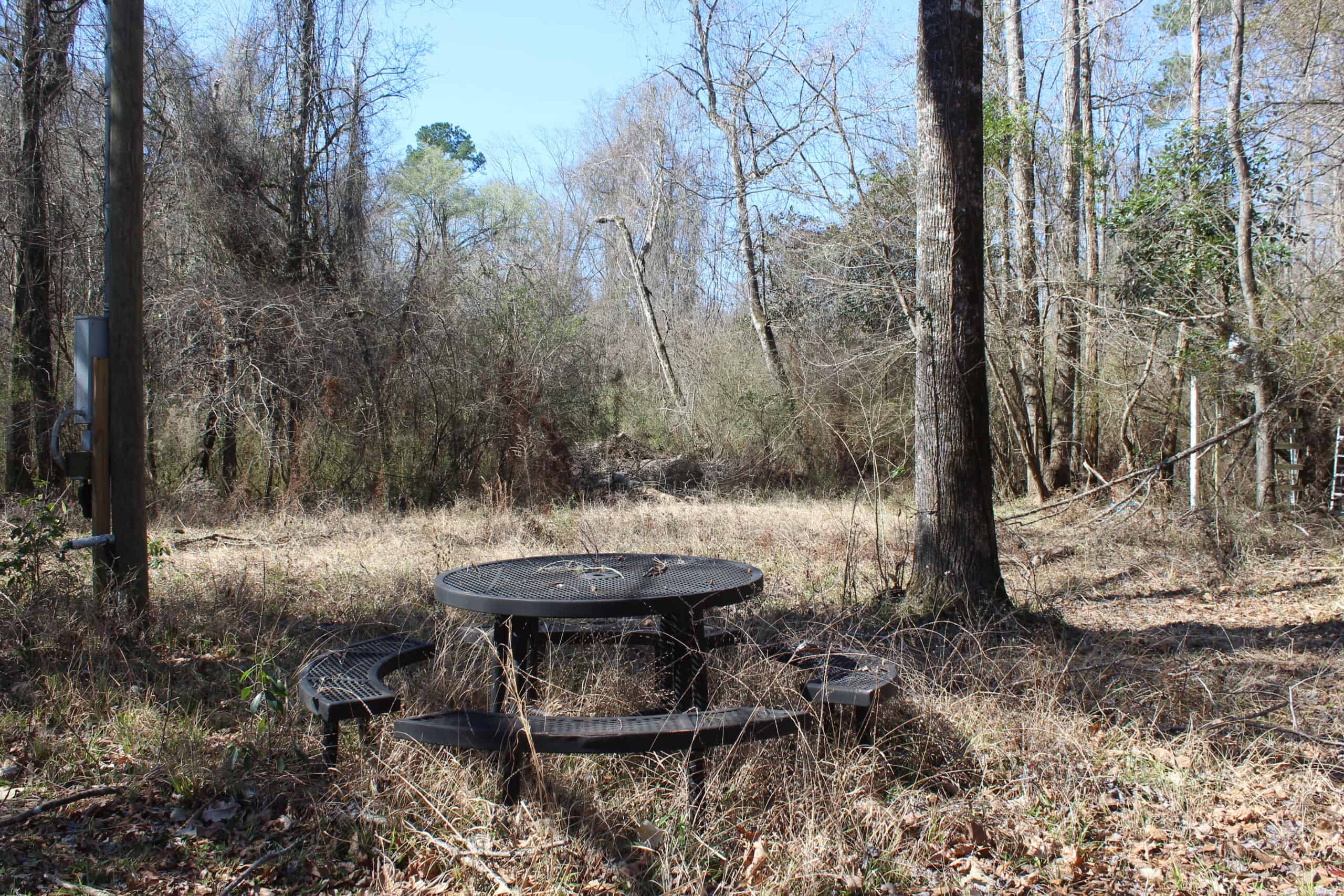 6.57 Acres with Water Frontage on the Bogue Chitto River Pike County, Mississippi