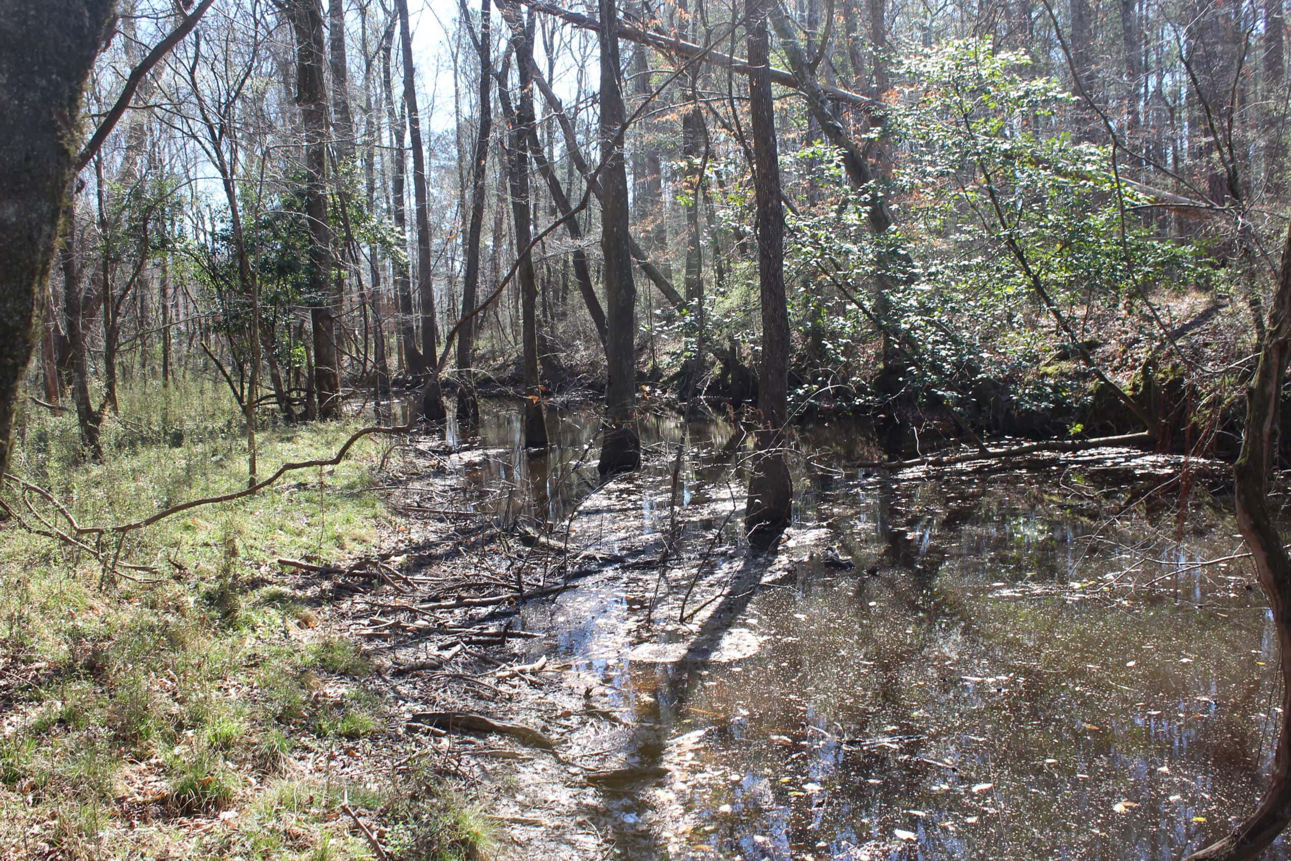 6.57 Acres with Water Frontage on the Bogue Chitto River Pike County, Mississippi