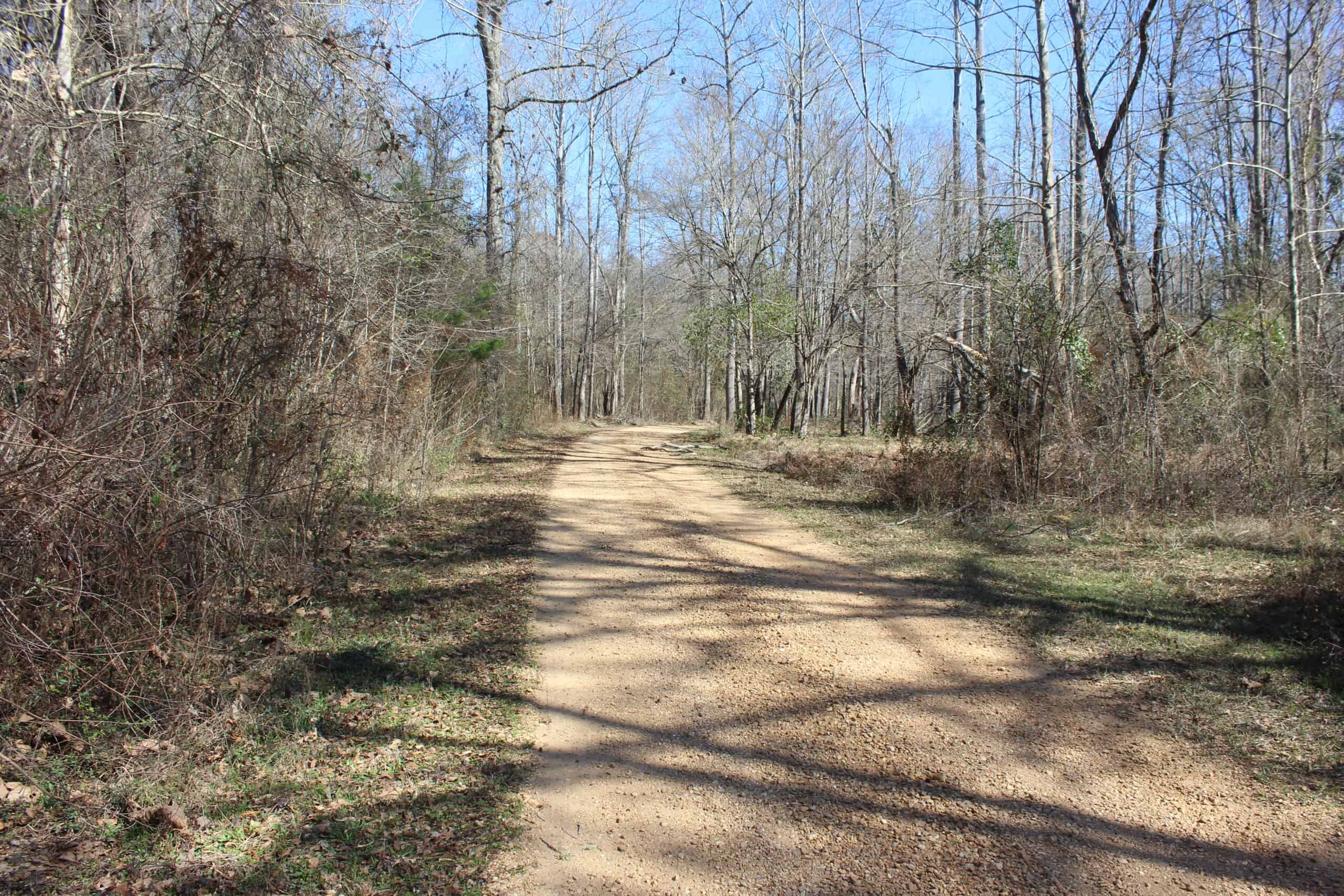 6.57 Acres with Water Frontage on the Bogue Chitto River Pike County, Mississippi
