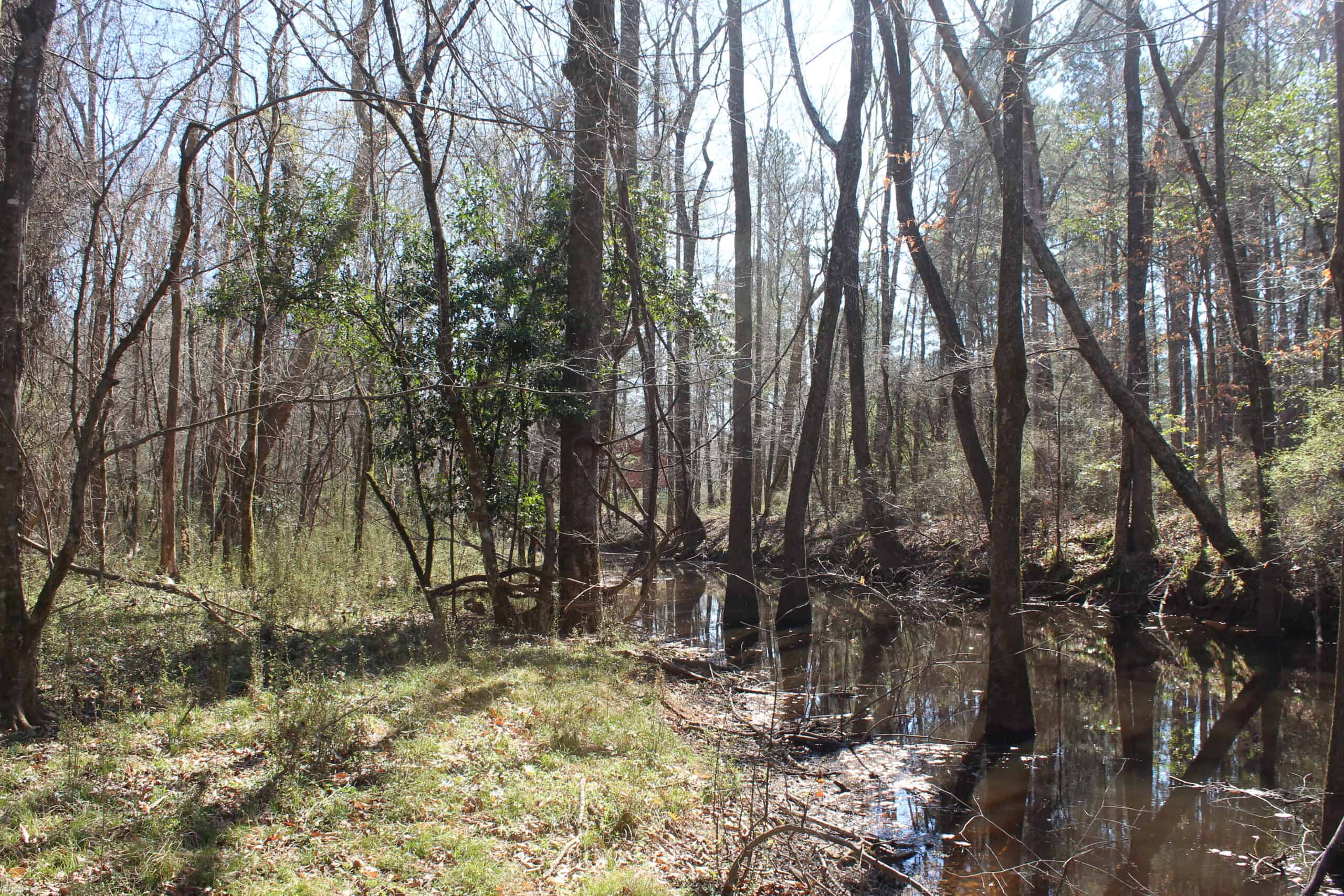 6.57 Acres with Water Frontage on the Bogue Chitto River Pike County, Mississippi