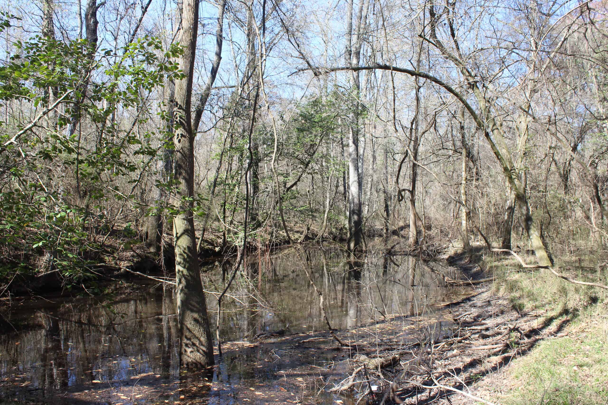 6.57 Acres with Water Frontage on the Bogue Chitto River Pike County, Mississippi