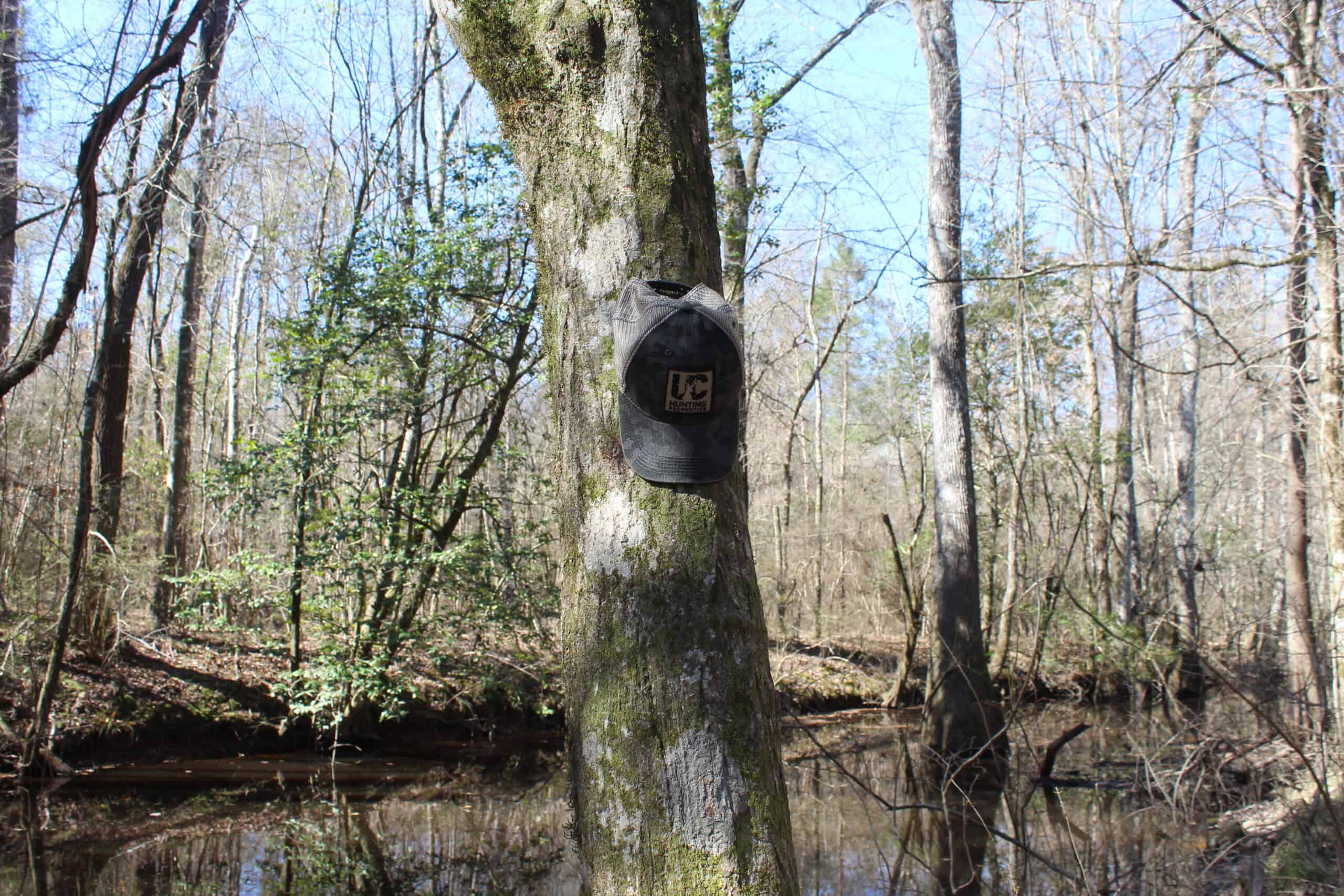 6.57 Acres with Water Frontage on the Bogue Chitto River Pike County, Mississippi