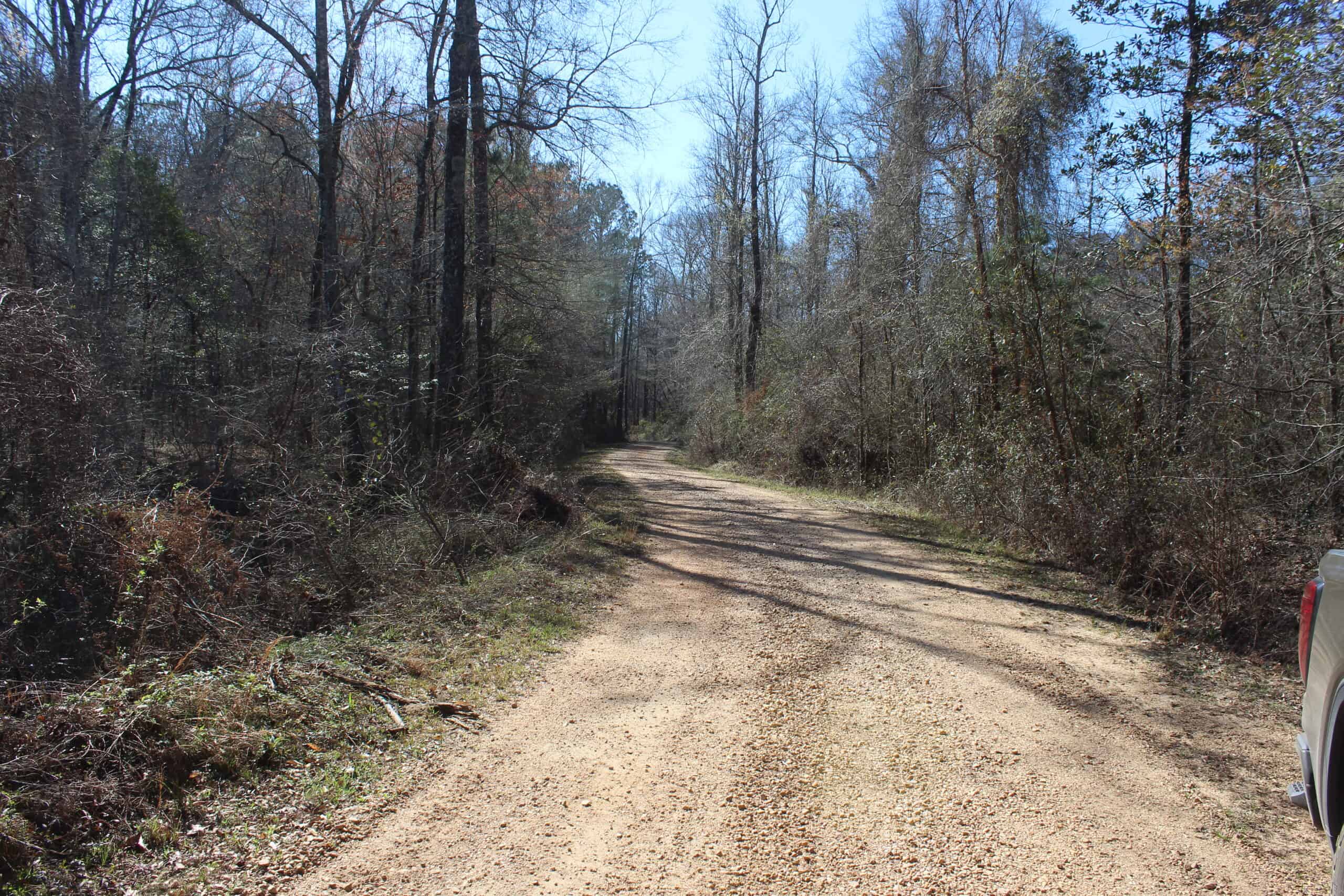 6.57 Acres with Water Frontage on the Bogue Chitto River Pike County, Mississippi