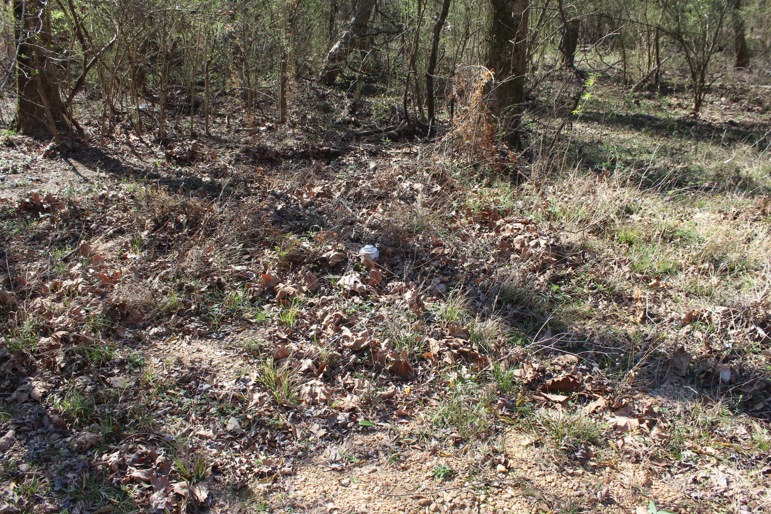 6.57 Acres with Water Frontage on the Bogue Chitto River Pike County, Mississippi
