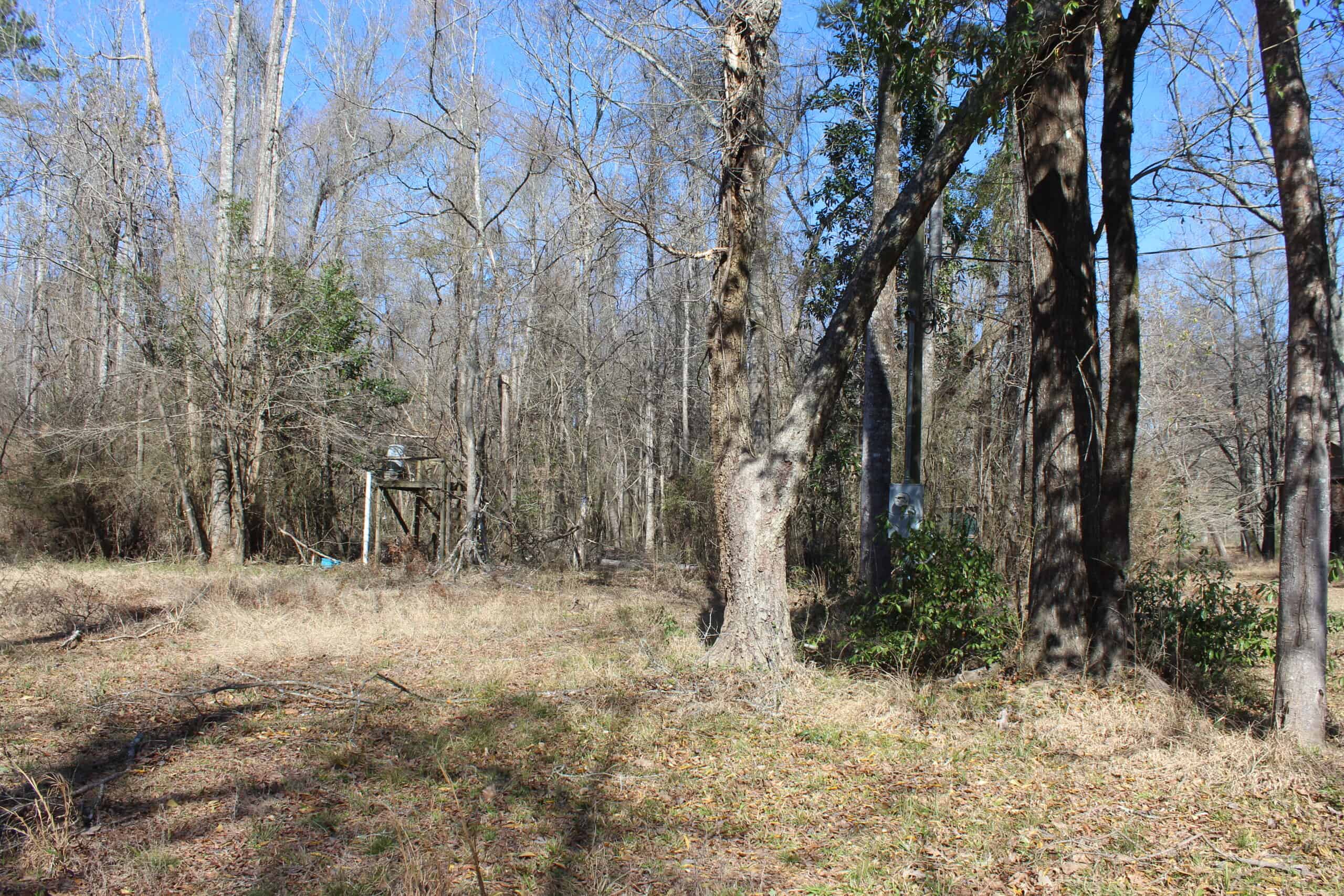 6.57 Acres with Water Frontage on the Bogue Chitto River Pike County, Mississippi