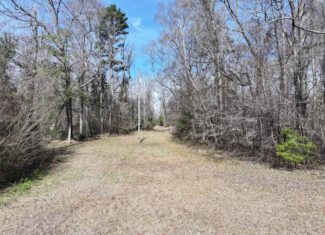 6.57 Acres with Water Frontage on the Bogue Chitto River Pike County, Mississippi