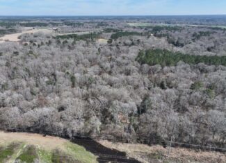 6.57 Acres with Water Frontage on the Bogue Chitto River Pike County, Mississippi