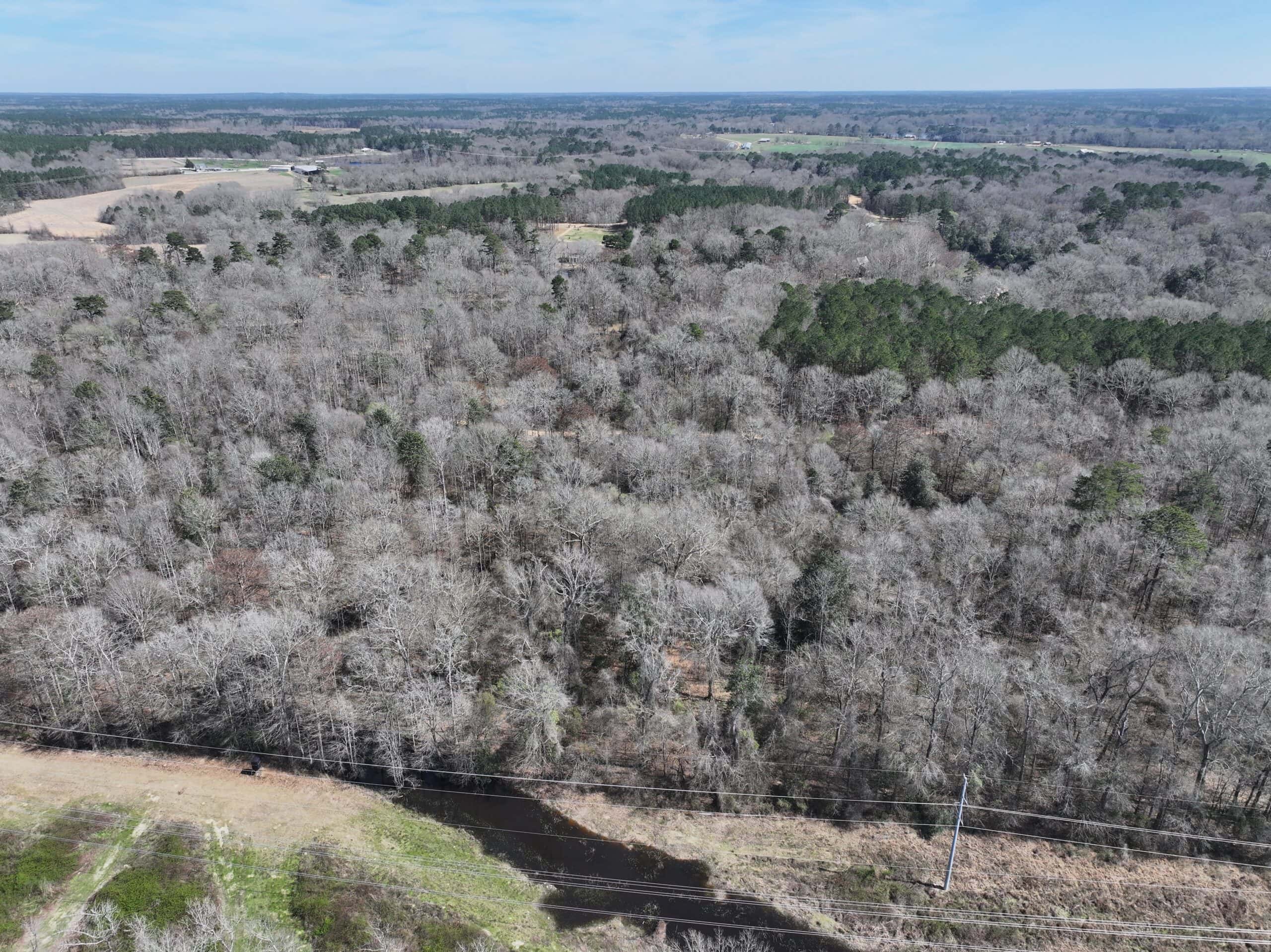 6.57 Acres with Water Frontage on the Bogue Chitto River Pike County, Mississippi