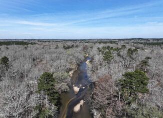 6.57 Acres with Water Frontage on the Bogue Chitto River Pike County, Mississippi