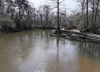 6.57 Acres with Water Frontage on the Bogue Chitto River Pike County, Mississippi