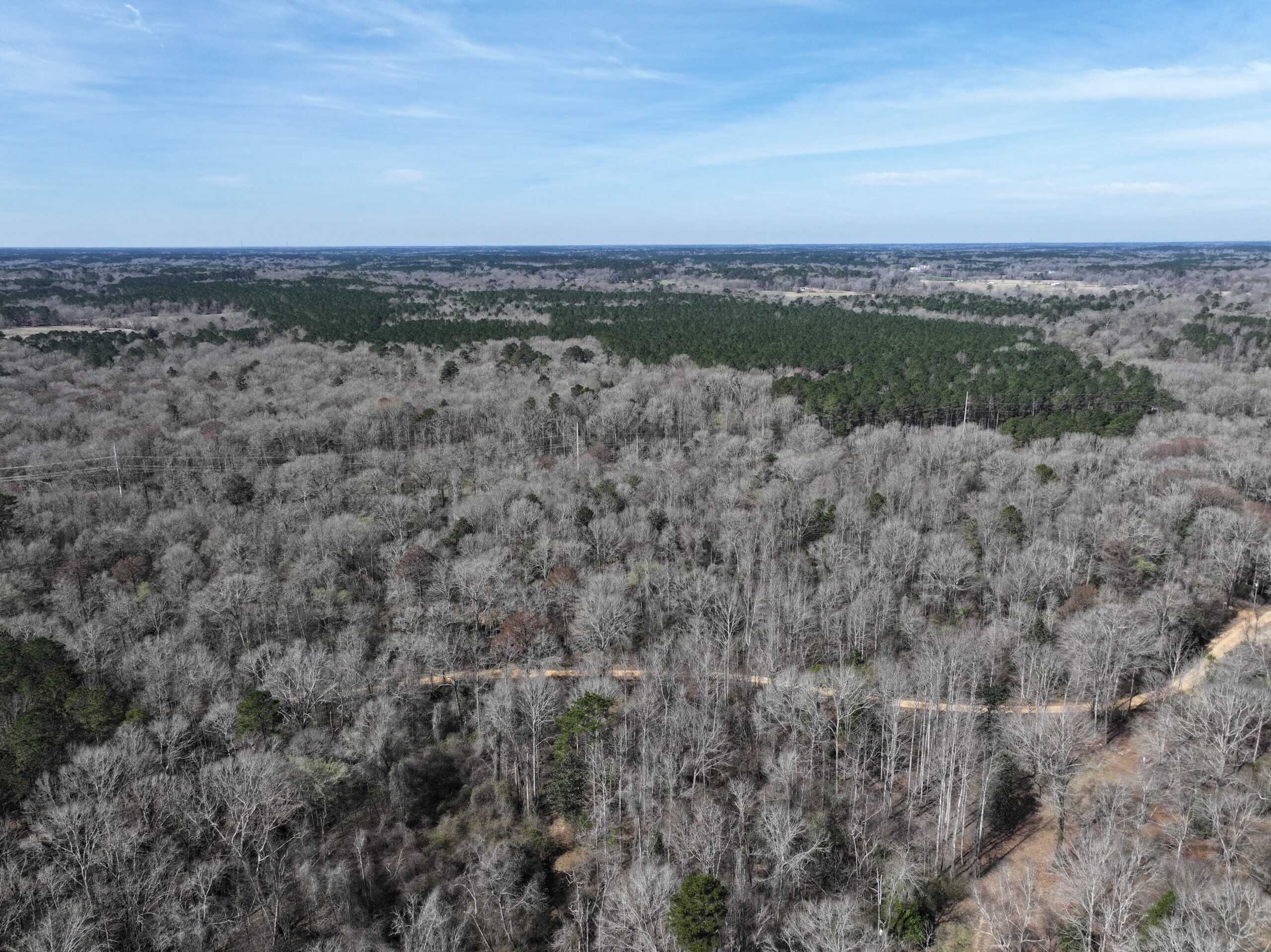 6.57 Acres with Water Frontage on the Bogue Chitto River Pike County, Mississippi